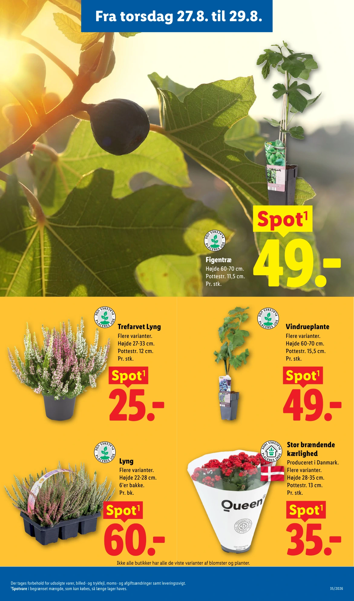 Flyer page 7