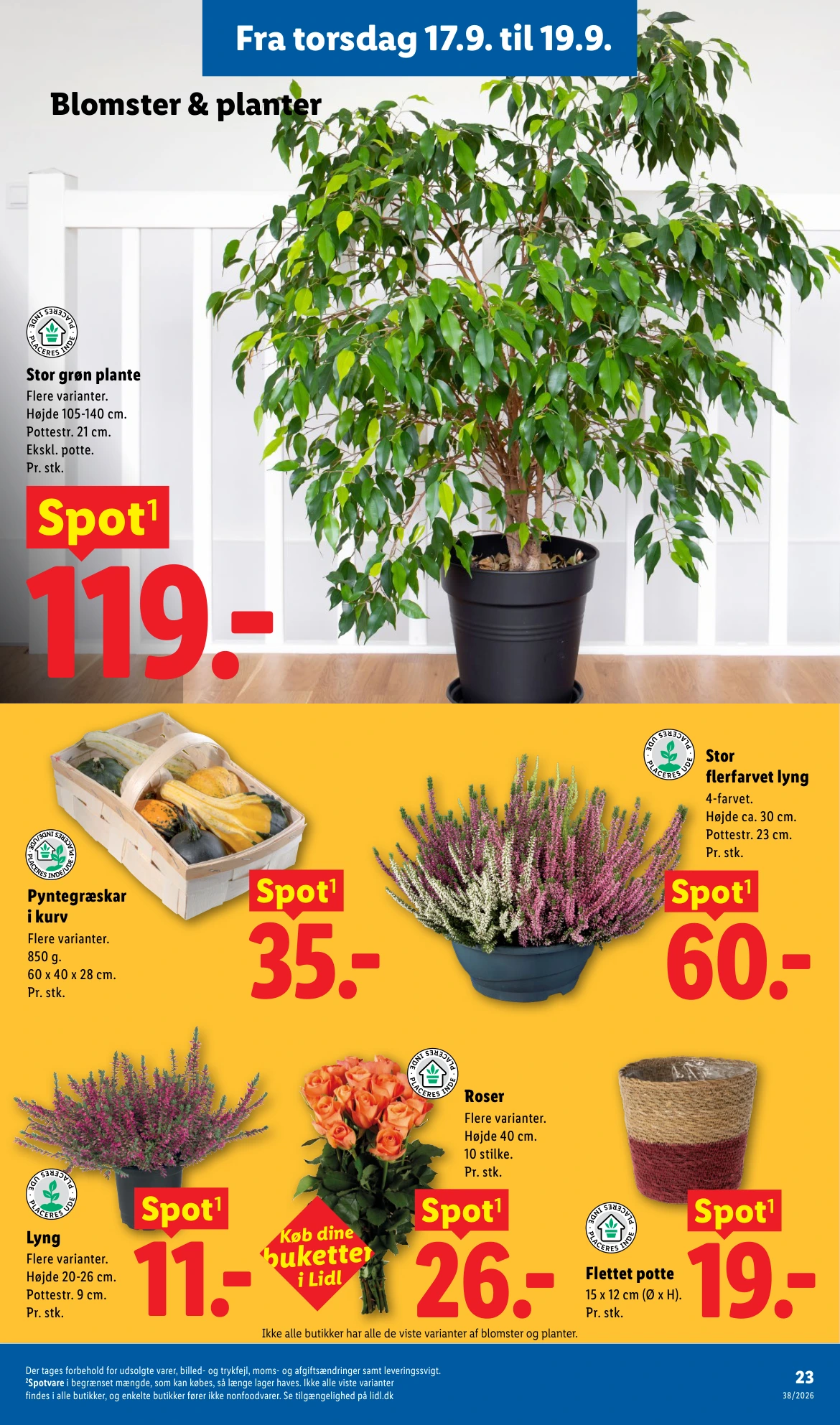 Flyer page 11