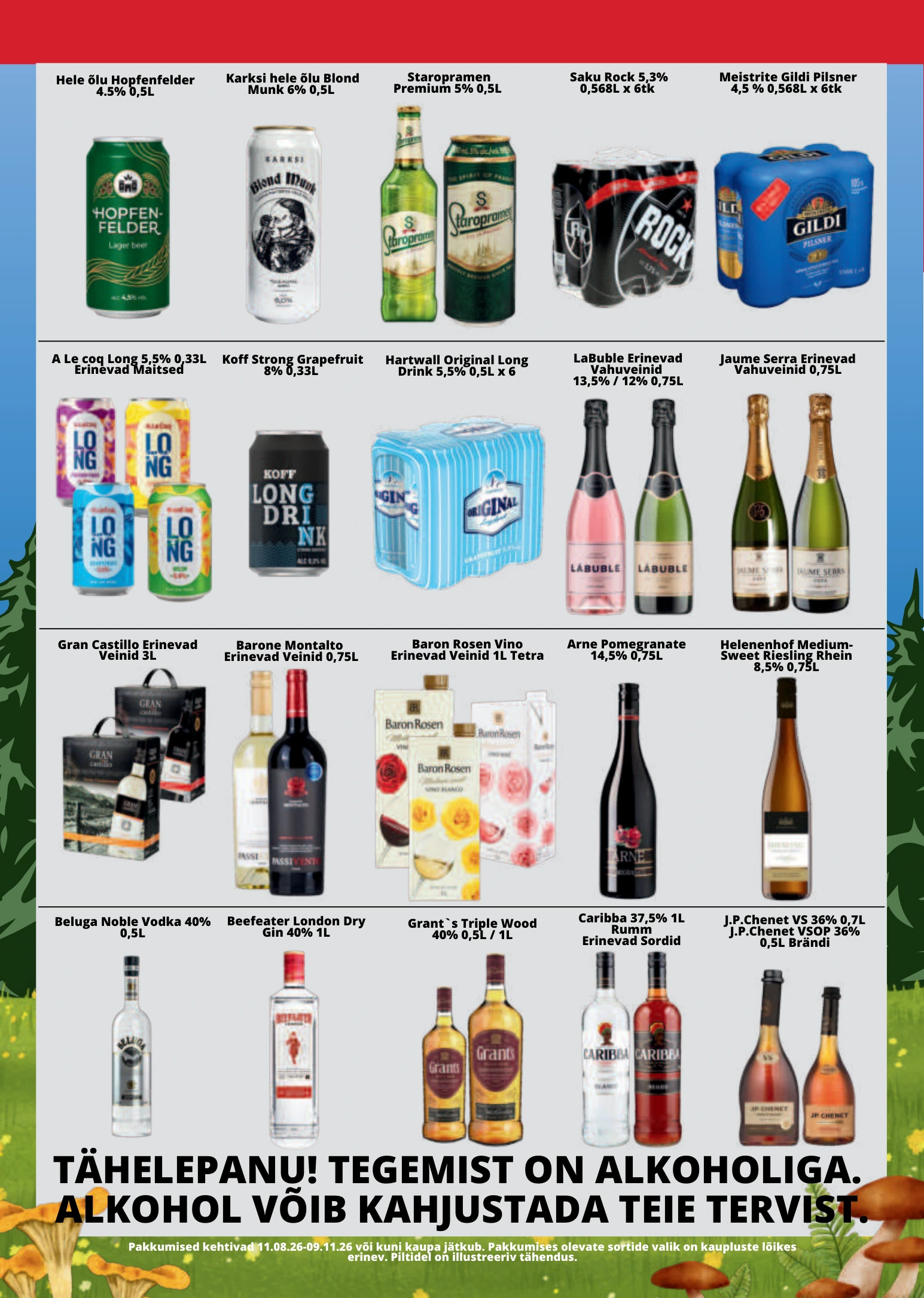 Flyer page 10