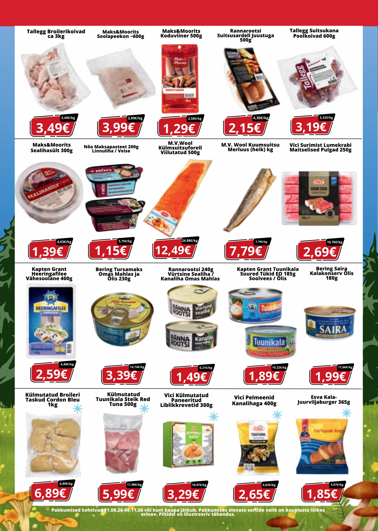 Flyer page 3