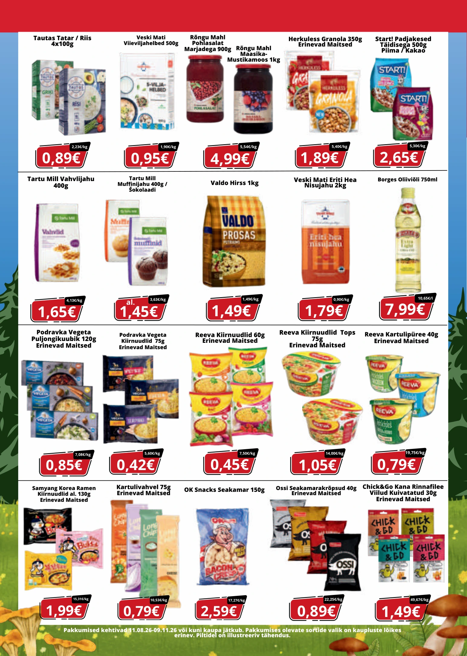 Flyer page 5