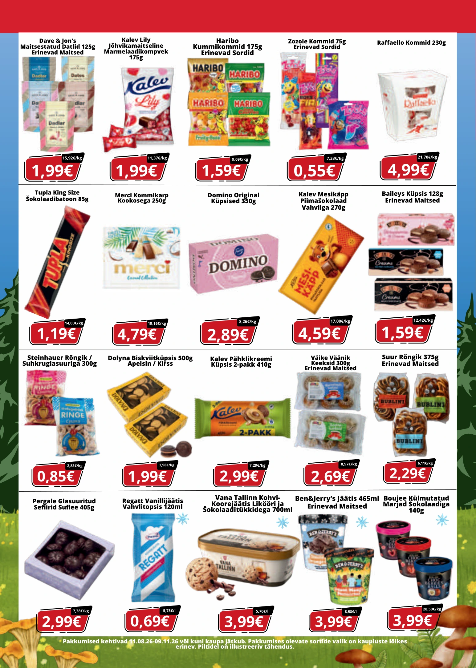 Flyer page 6