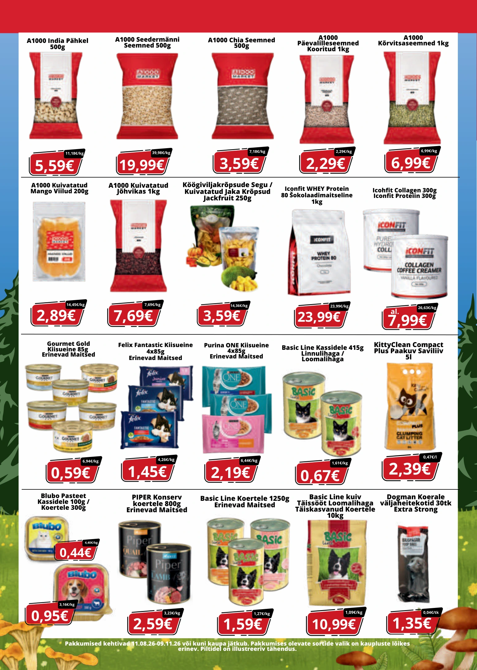 Flyer page 8