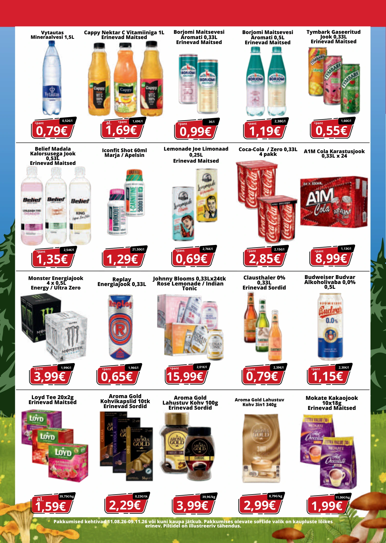 Flyer page 9