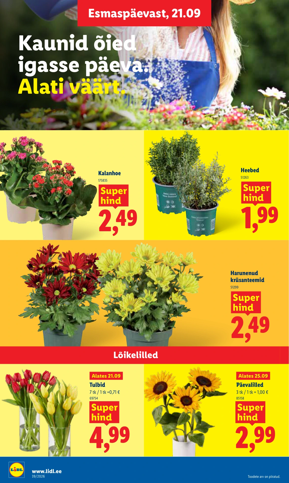 Flyer page 18