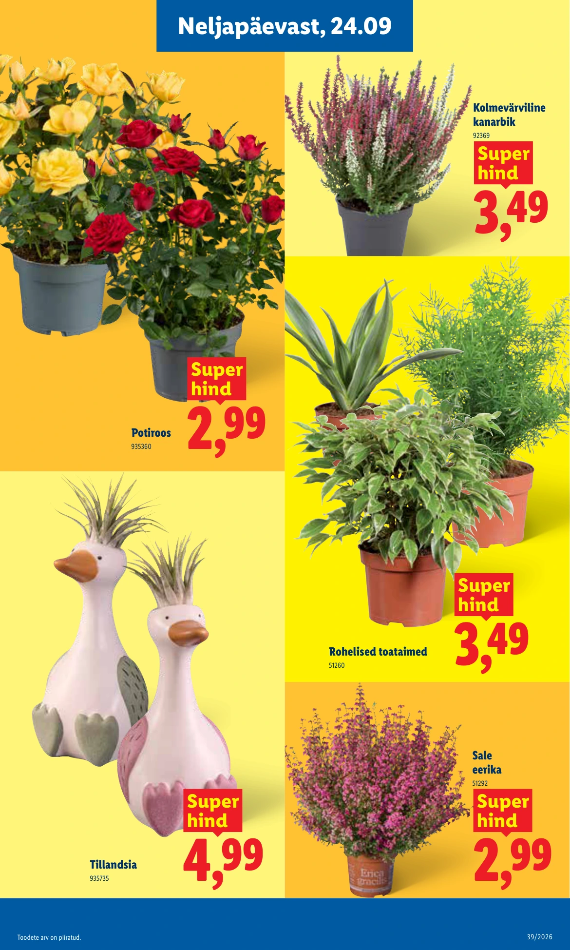 Flyer page 19