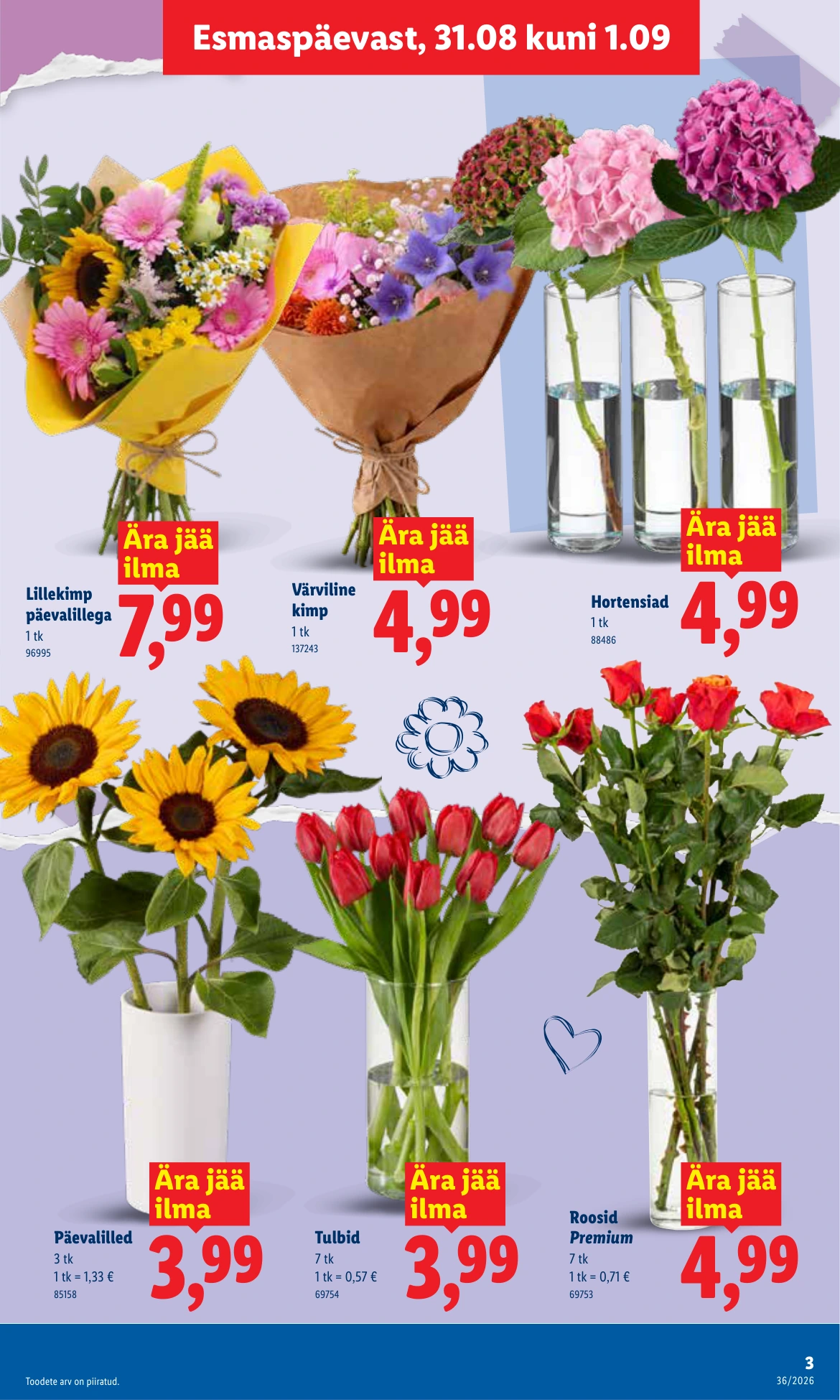 Flyer page 3