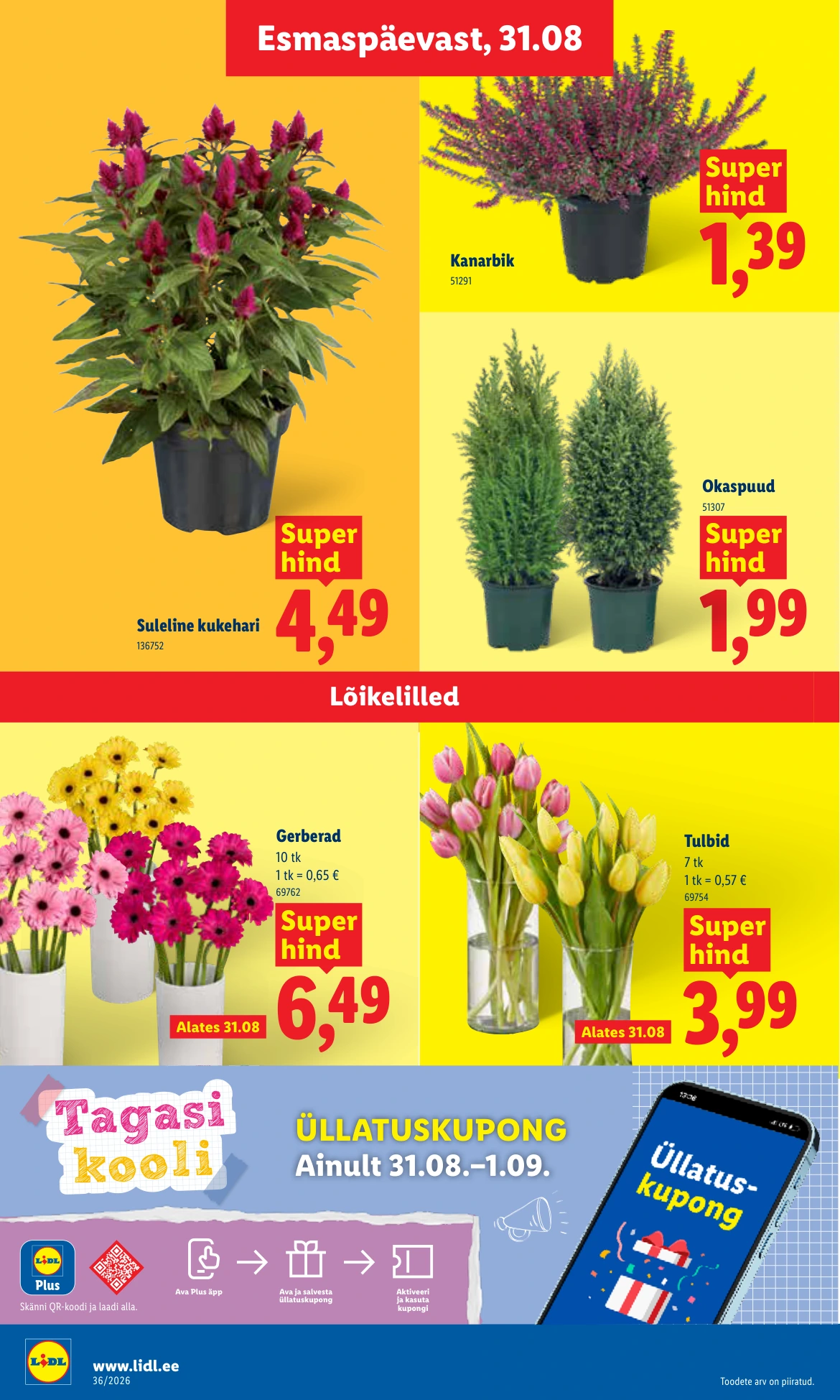 Flyer page 8
