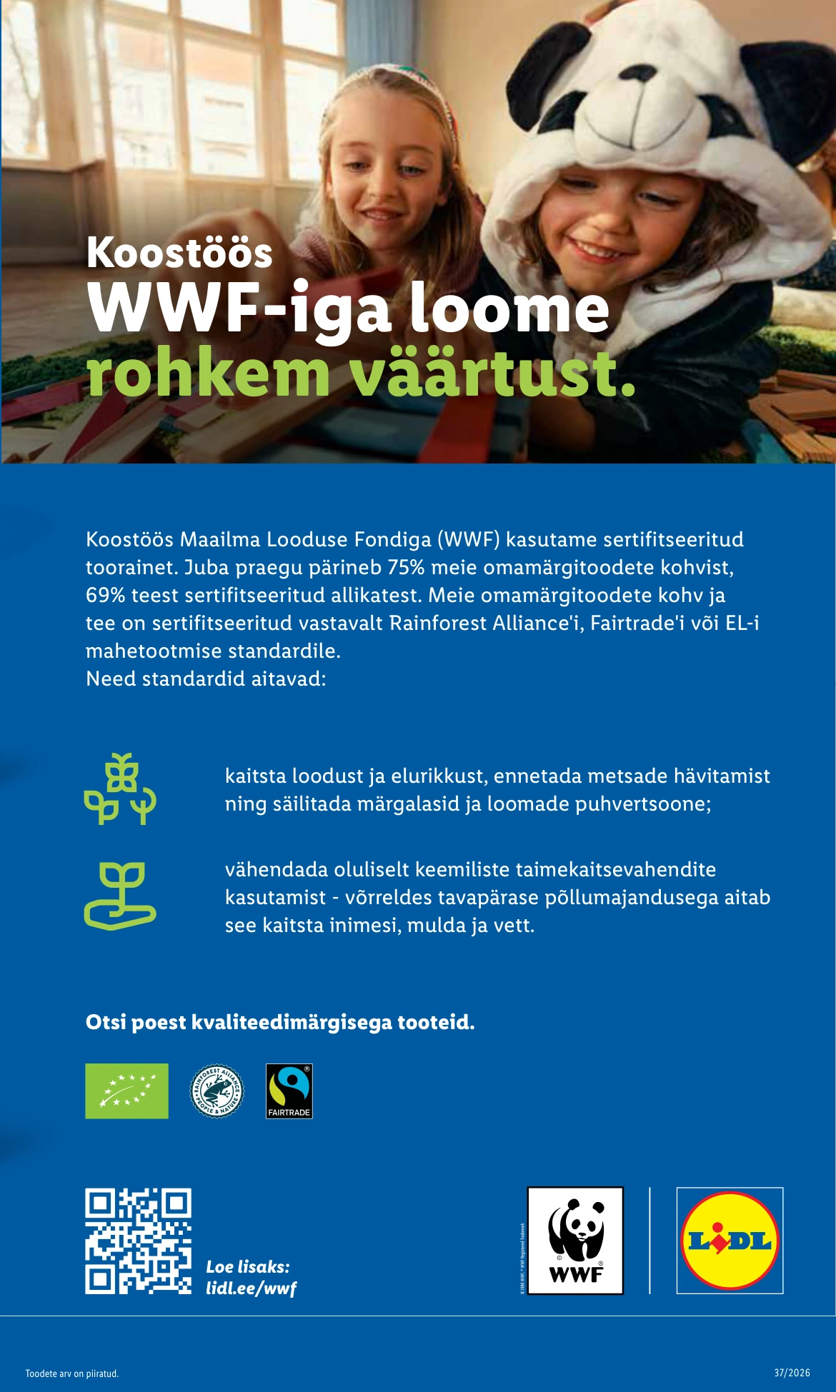 Flyer page 13
