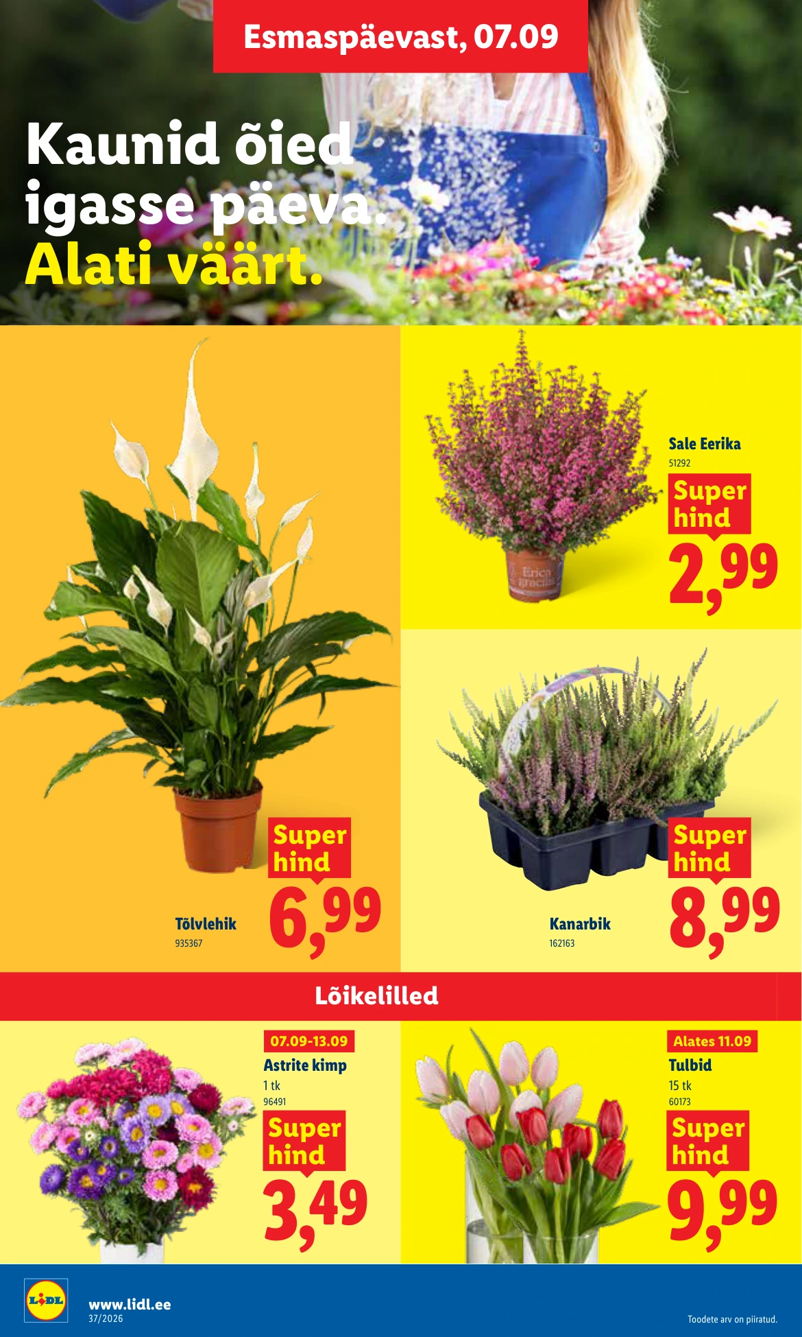 Flyer page 22