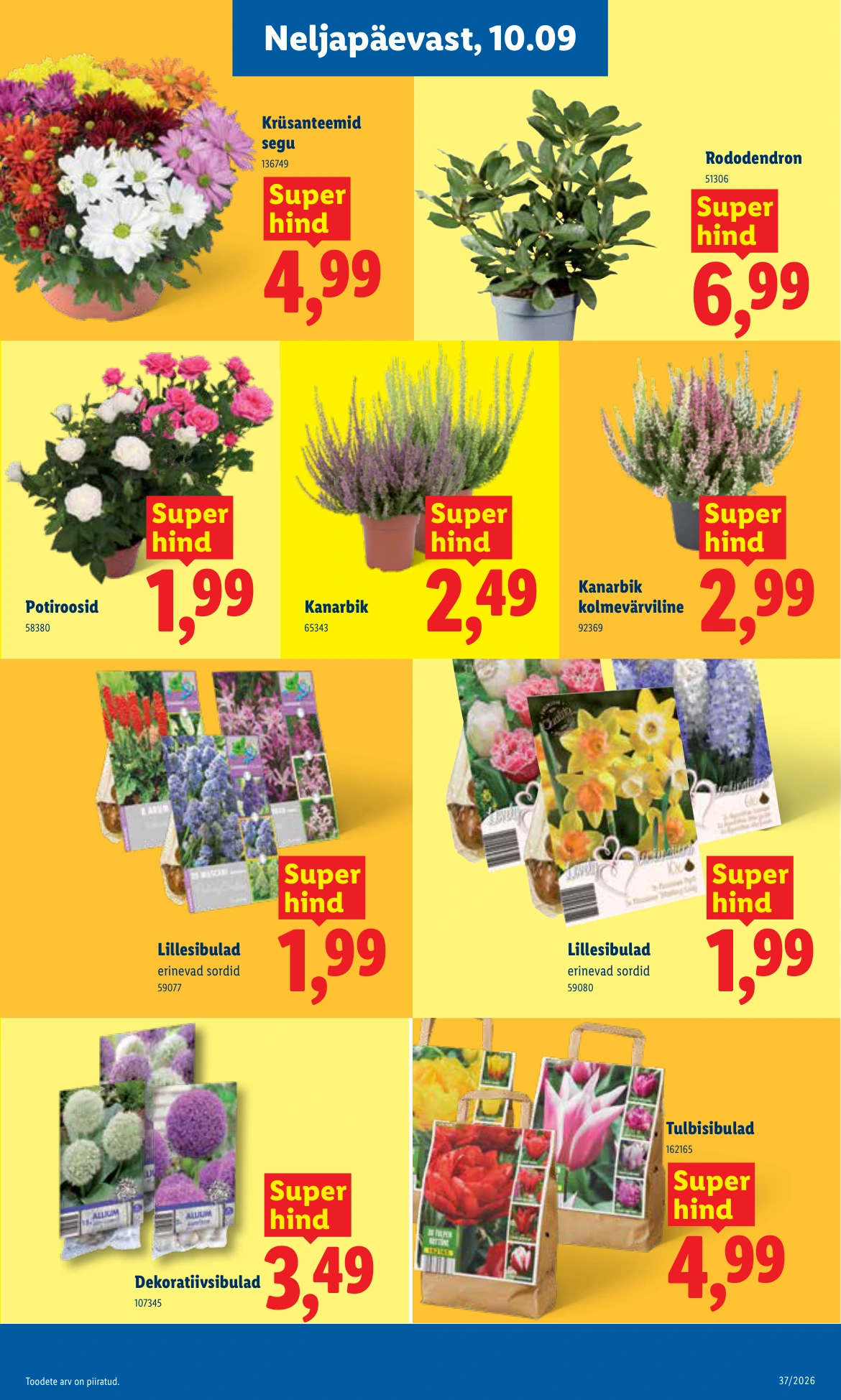 Flyer page 23