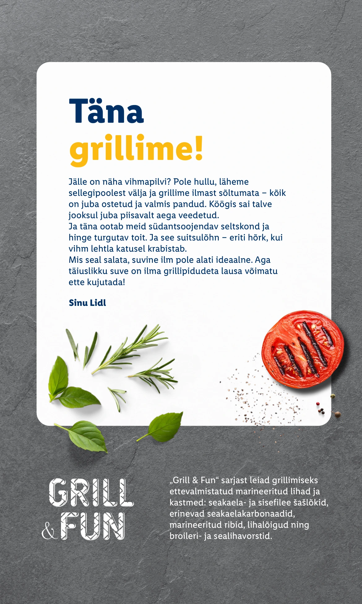 Flyer page 2