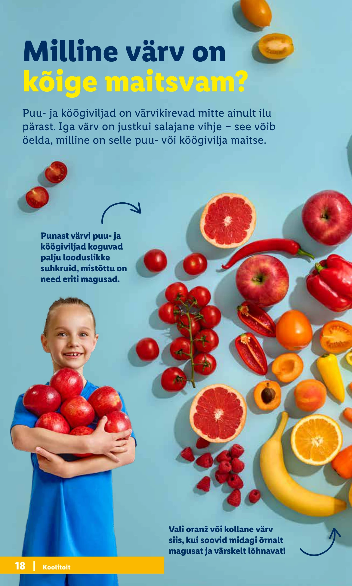 Flyer page 18