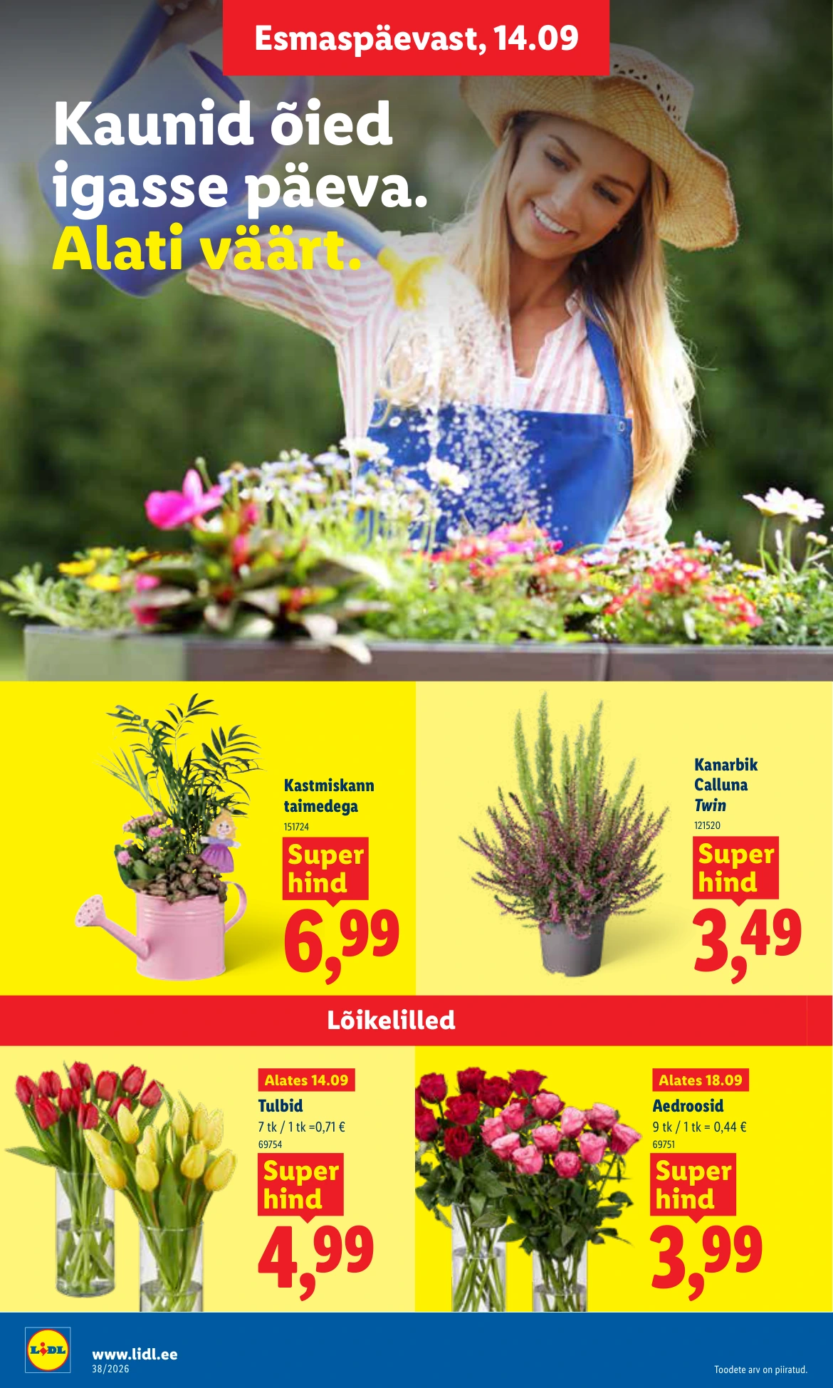 Flyer page 20