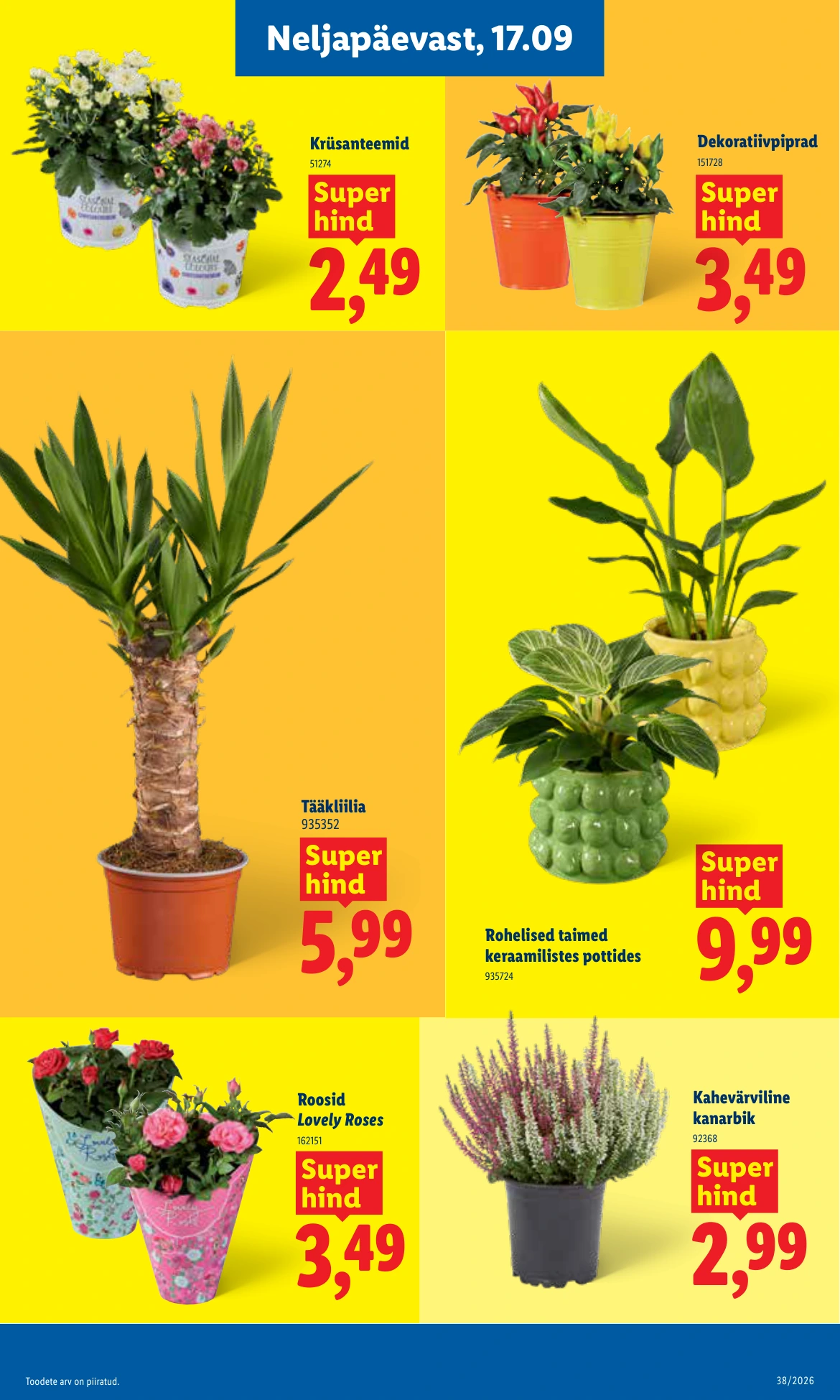 Flyer page 21