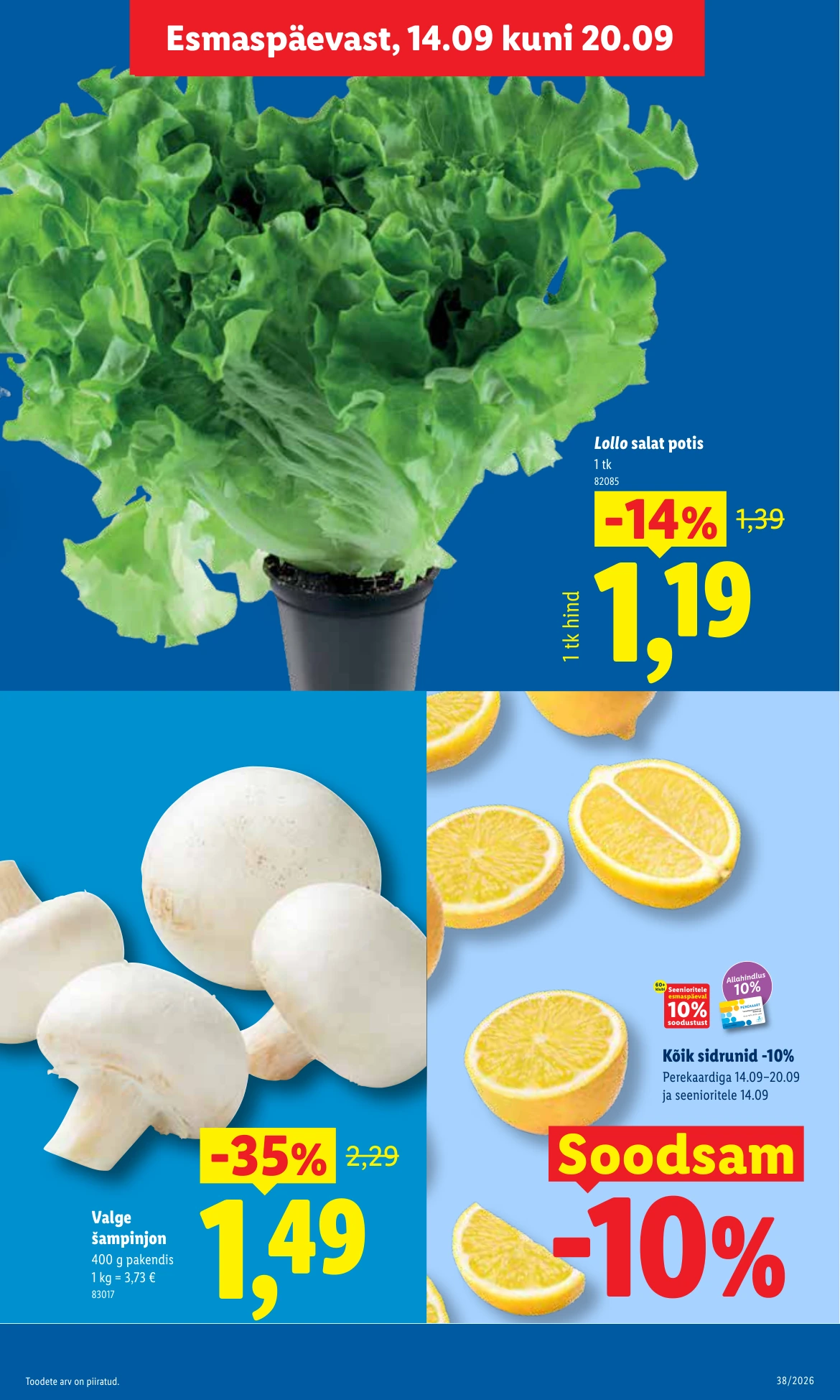 Flyer page 5