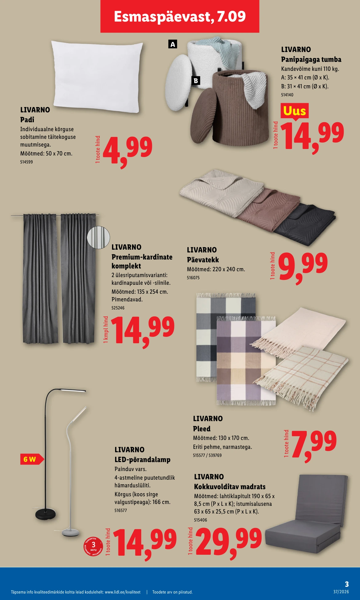 Flyer page 3