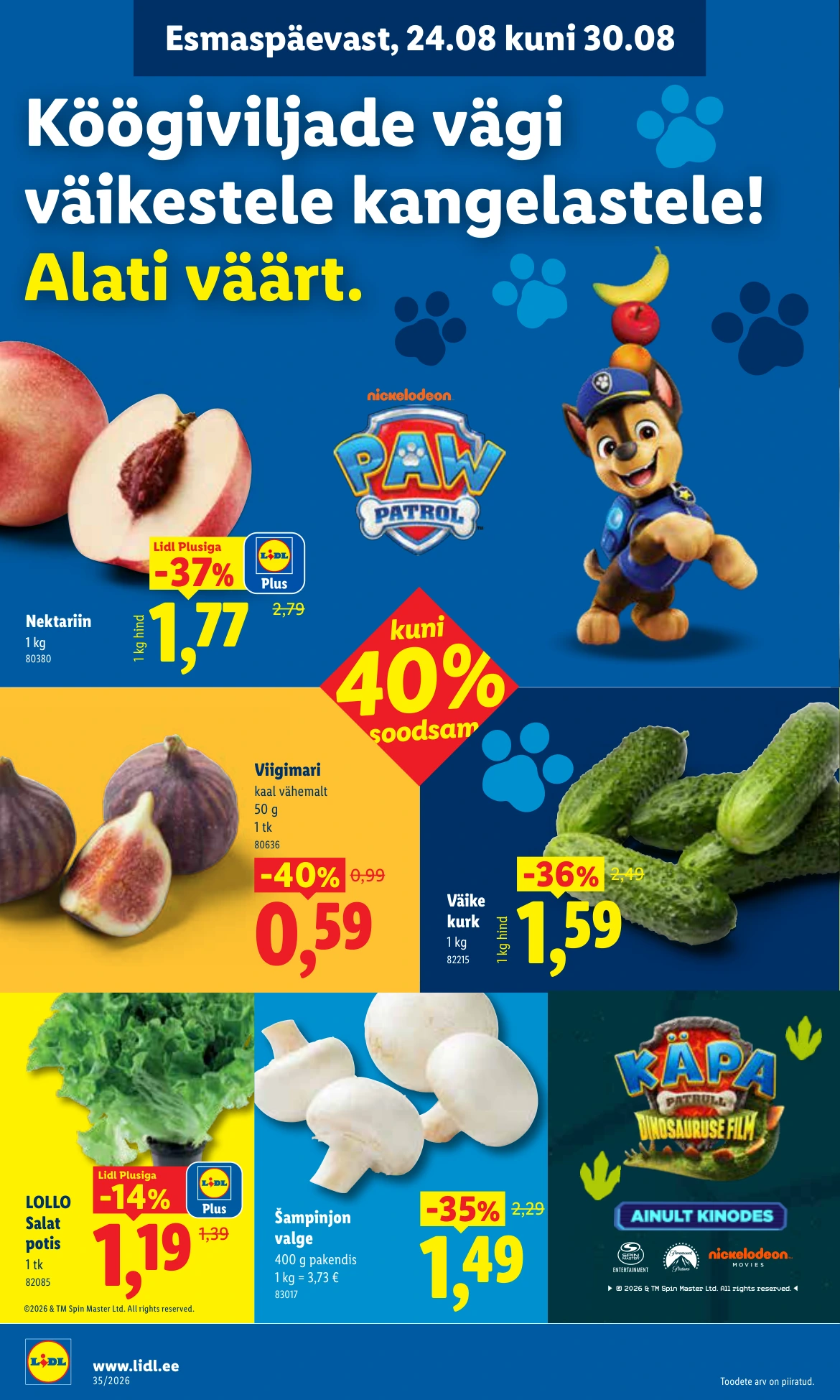 Flyer page 2