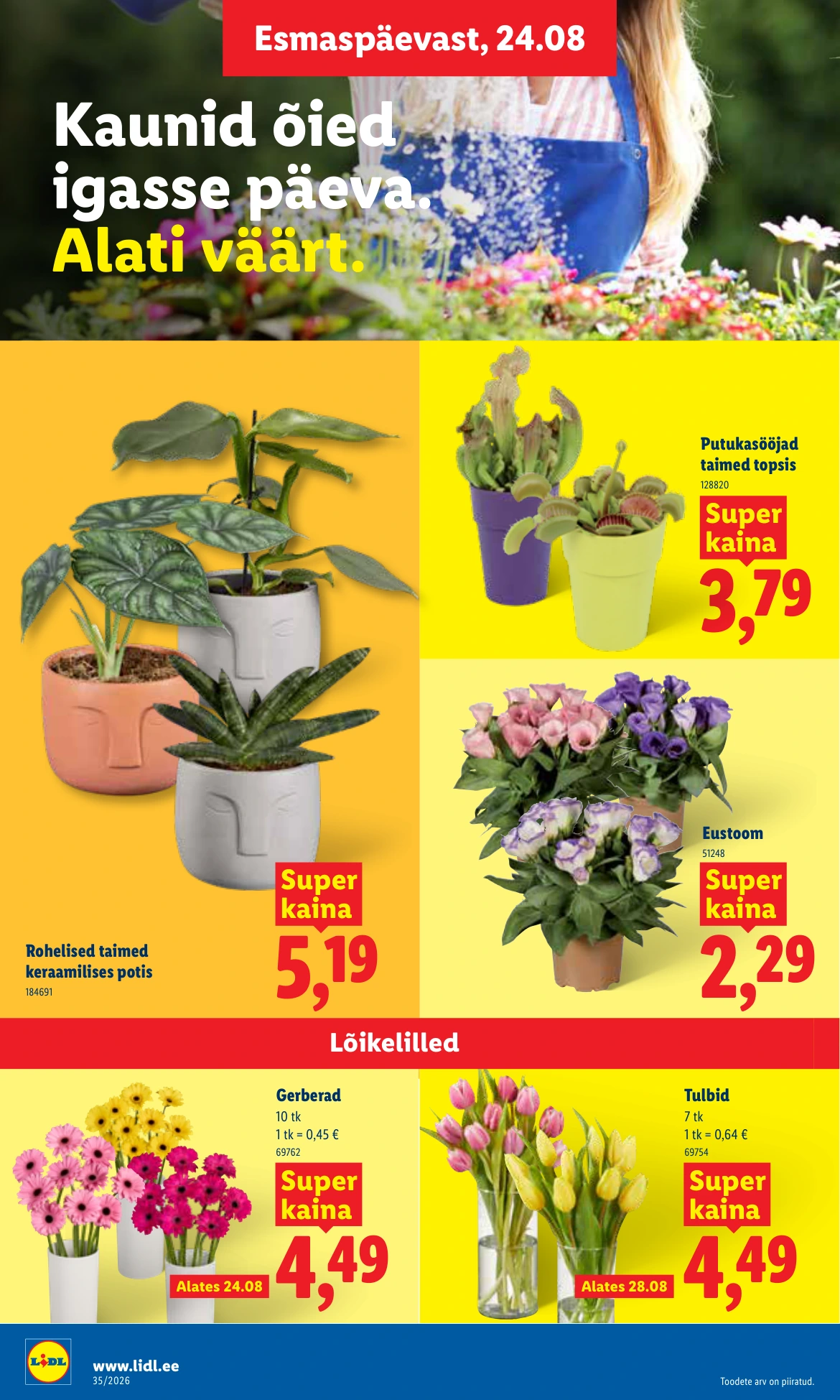 Flyer page 6
