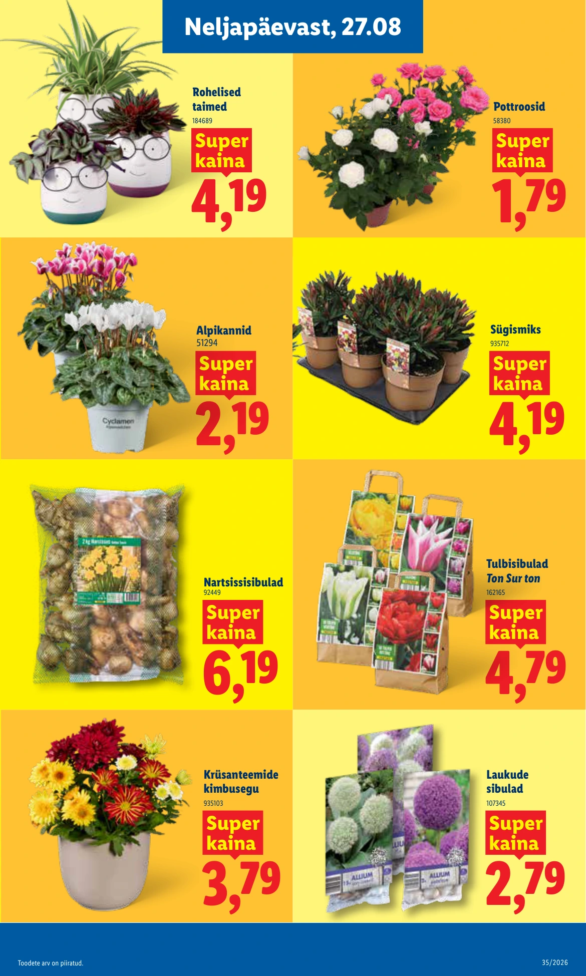 Flyer page 7