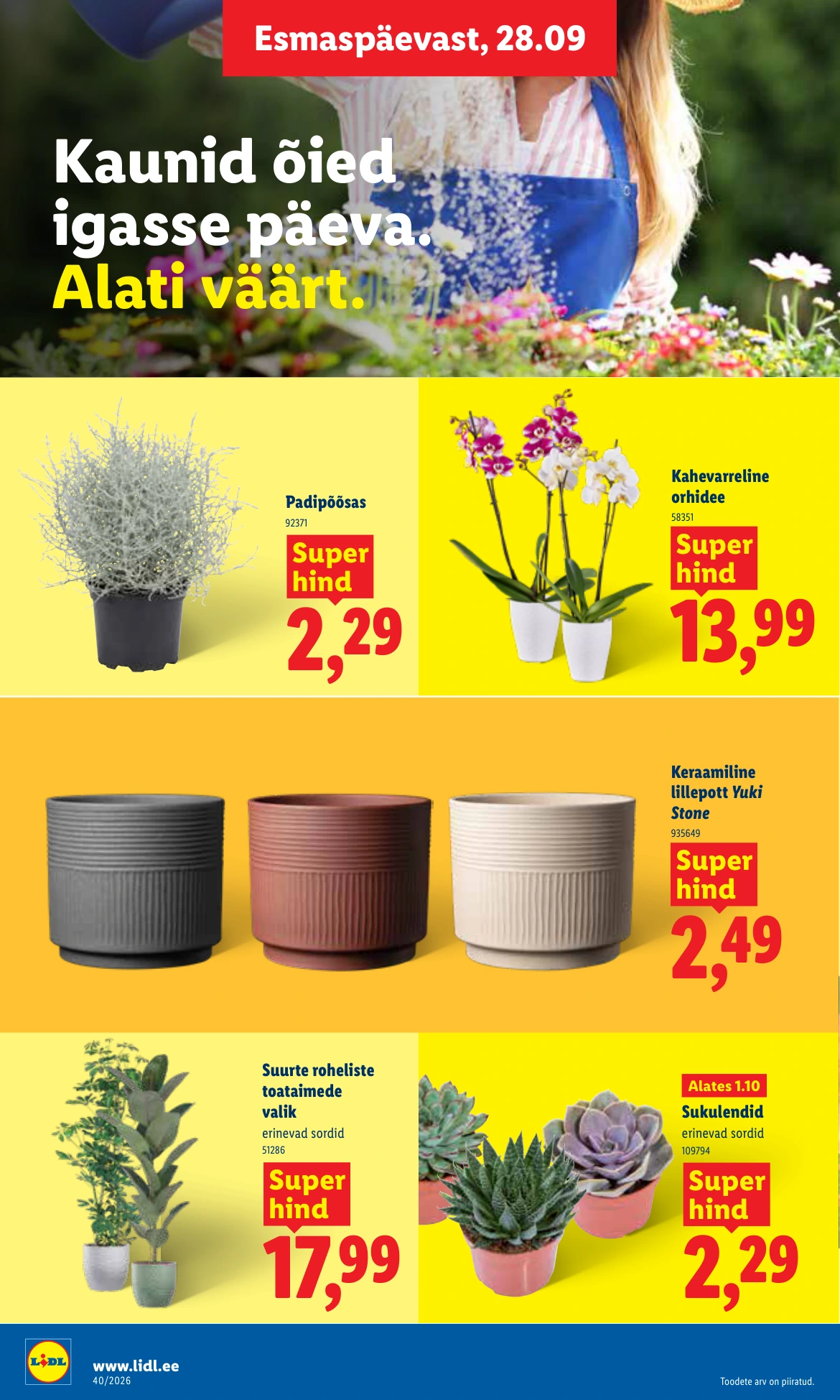 Flyer page 22