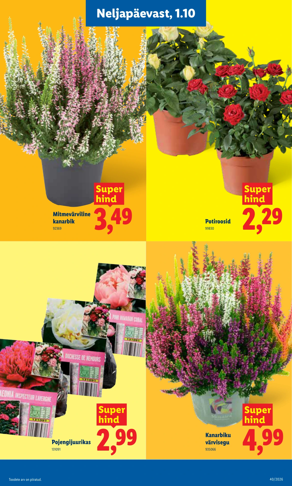 Flyer page 23