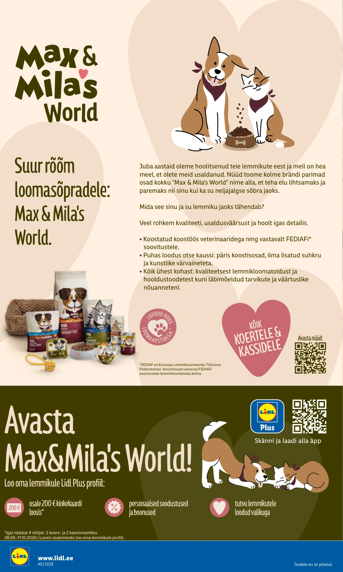 Flyer page 6