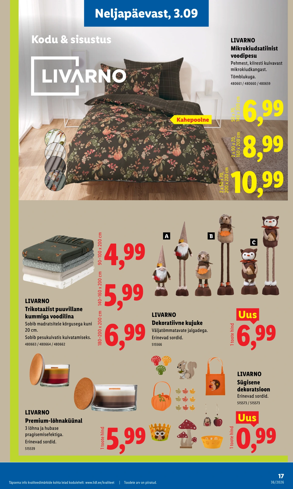 Flyer page 17