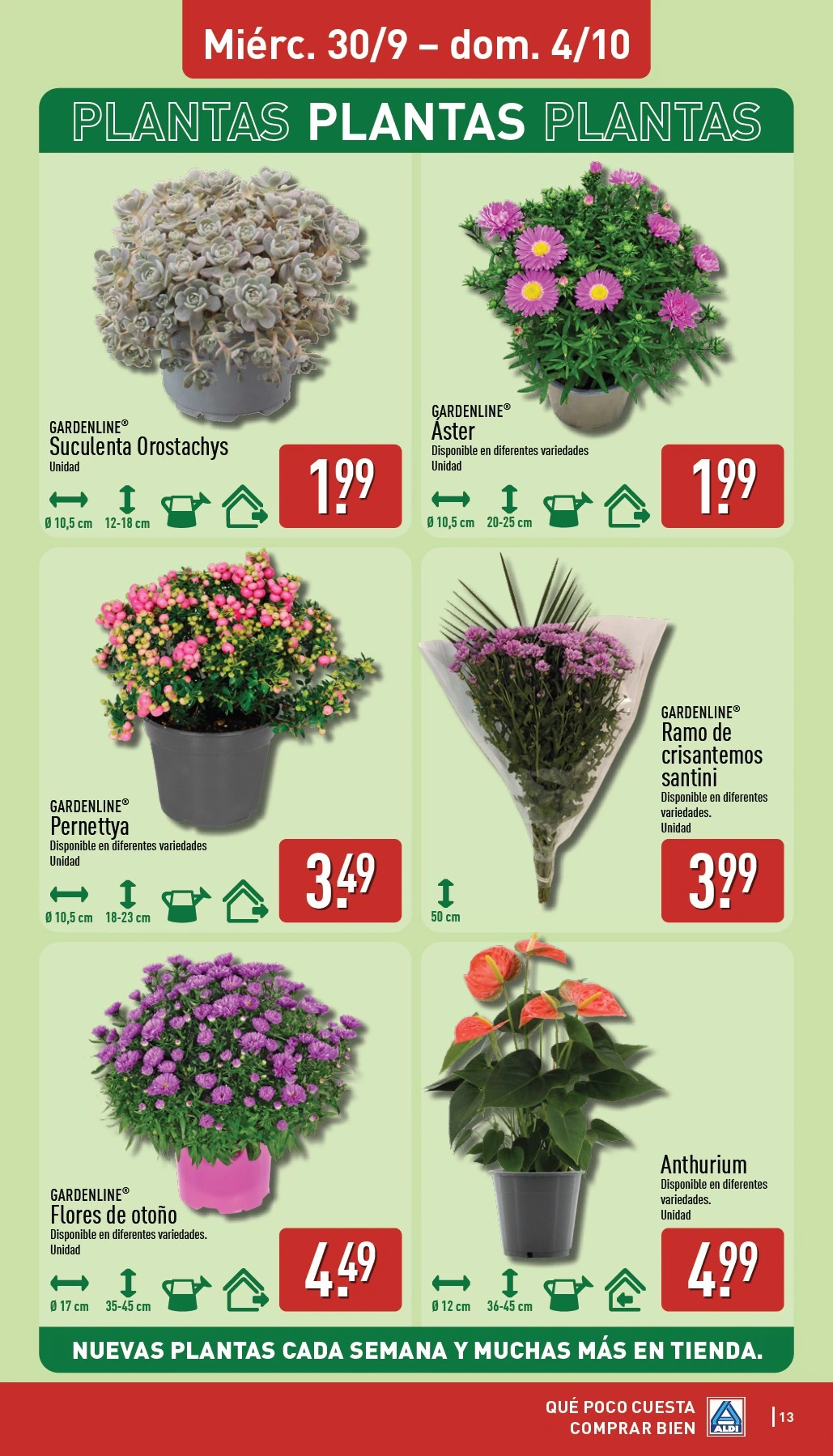 Flyer page 13
