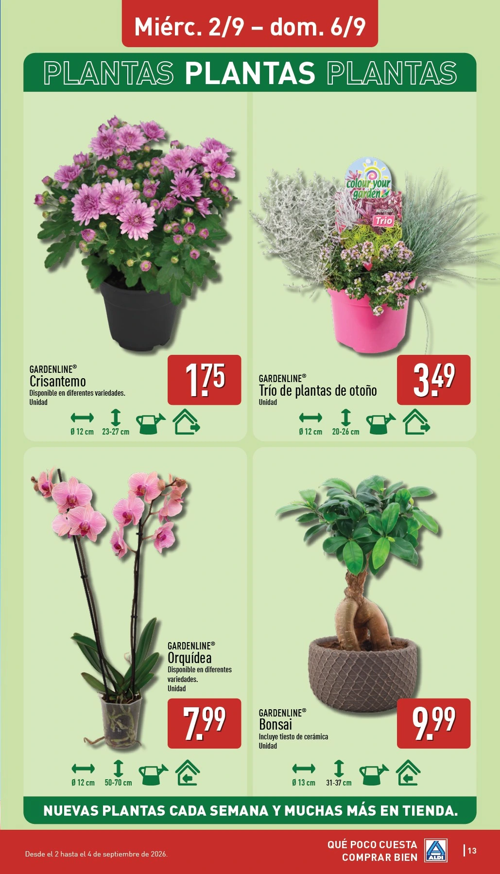 Flyer page 13