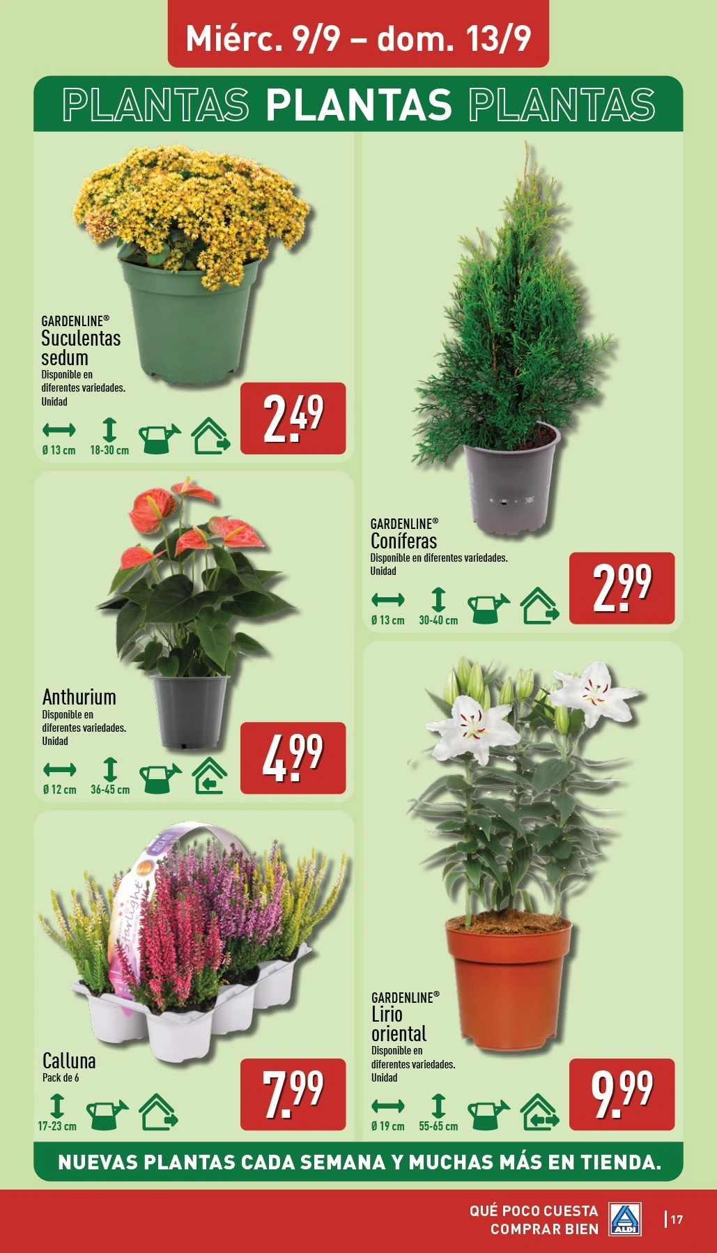 Flyer page 17