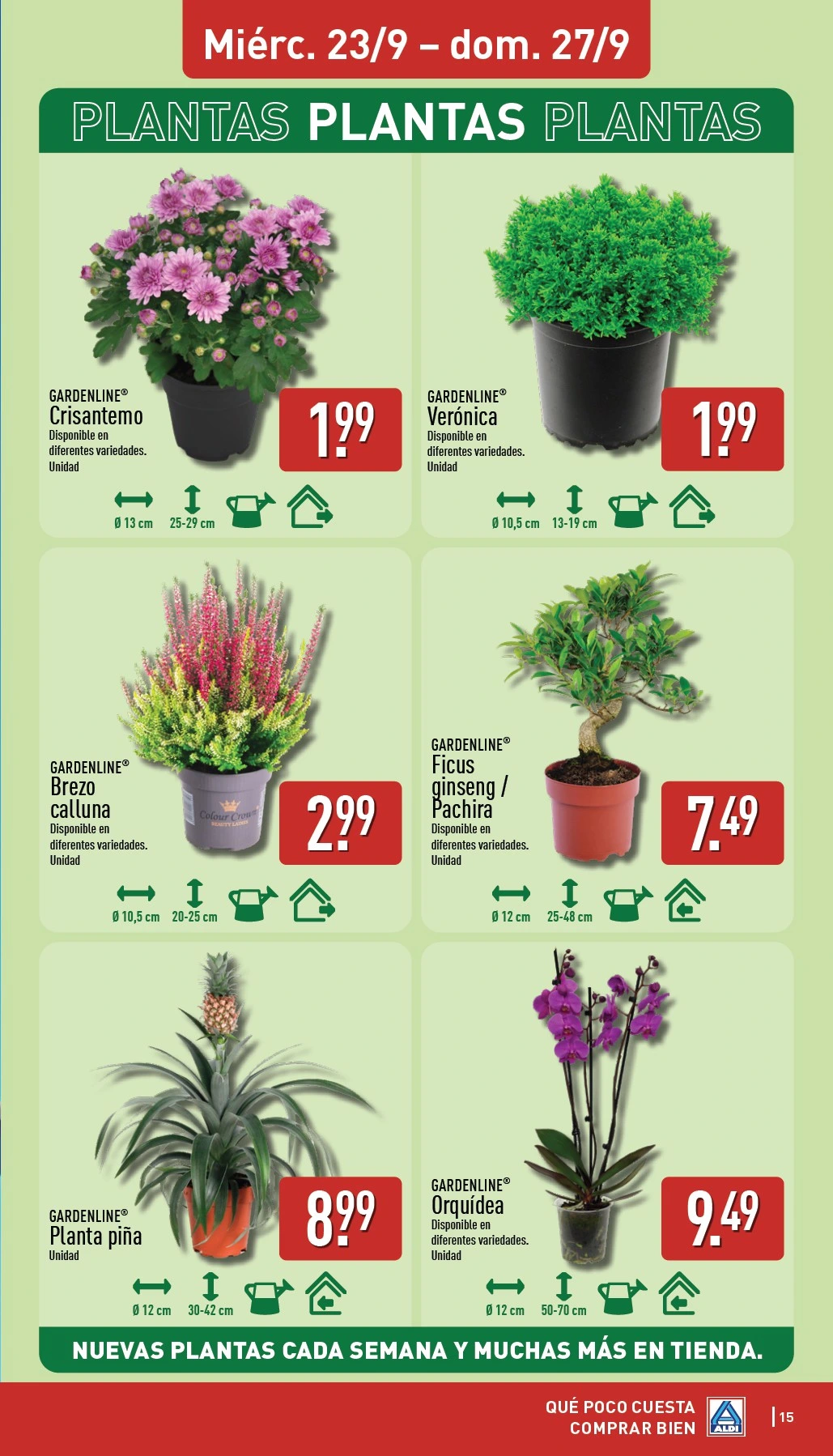 Flyer page 15