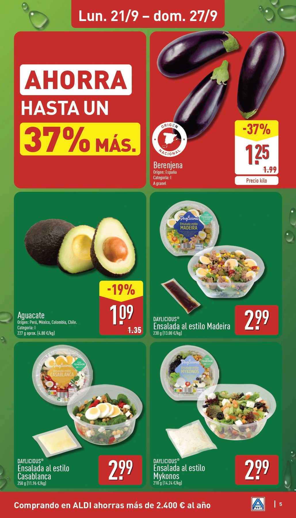 Flyer page 5