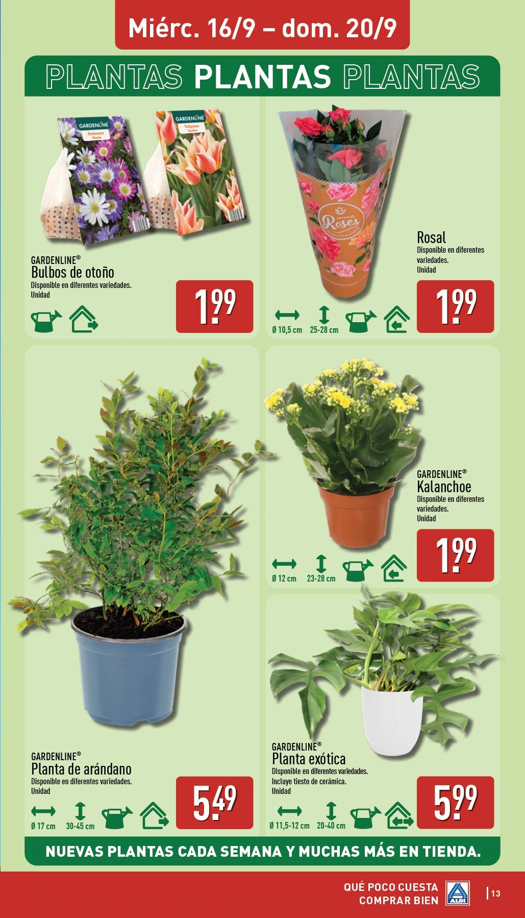 Flyer page 13