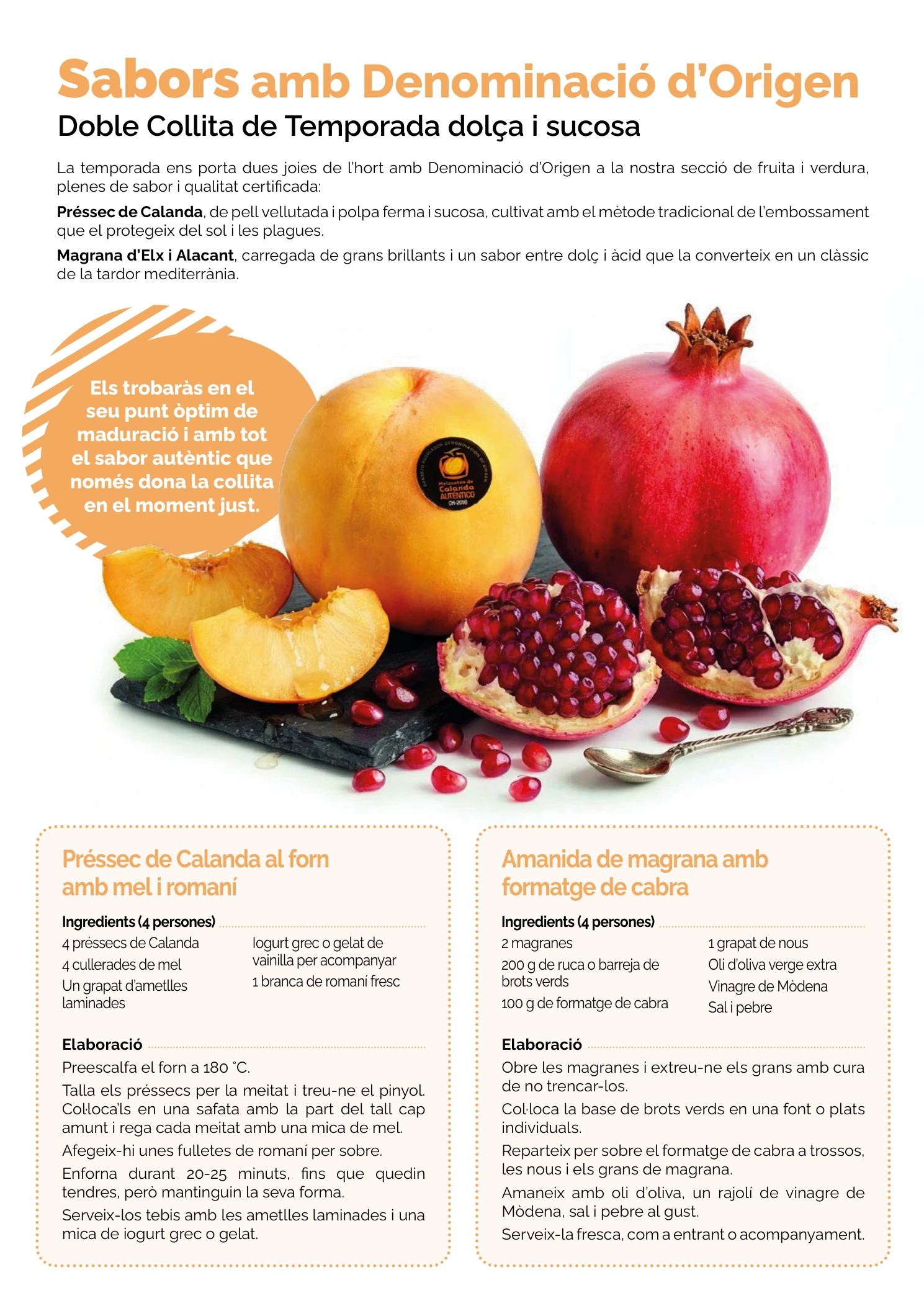 Flyer page 2