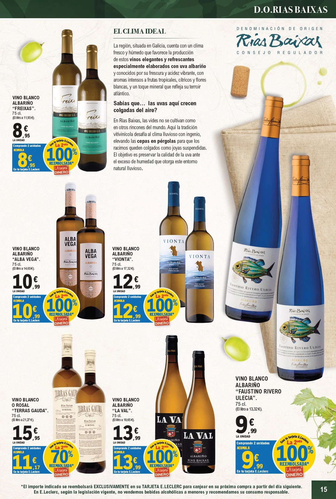 Flyer page 15