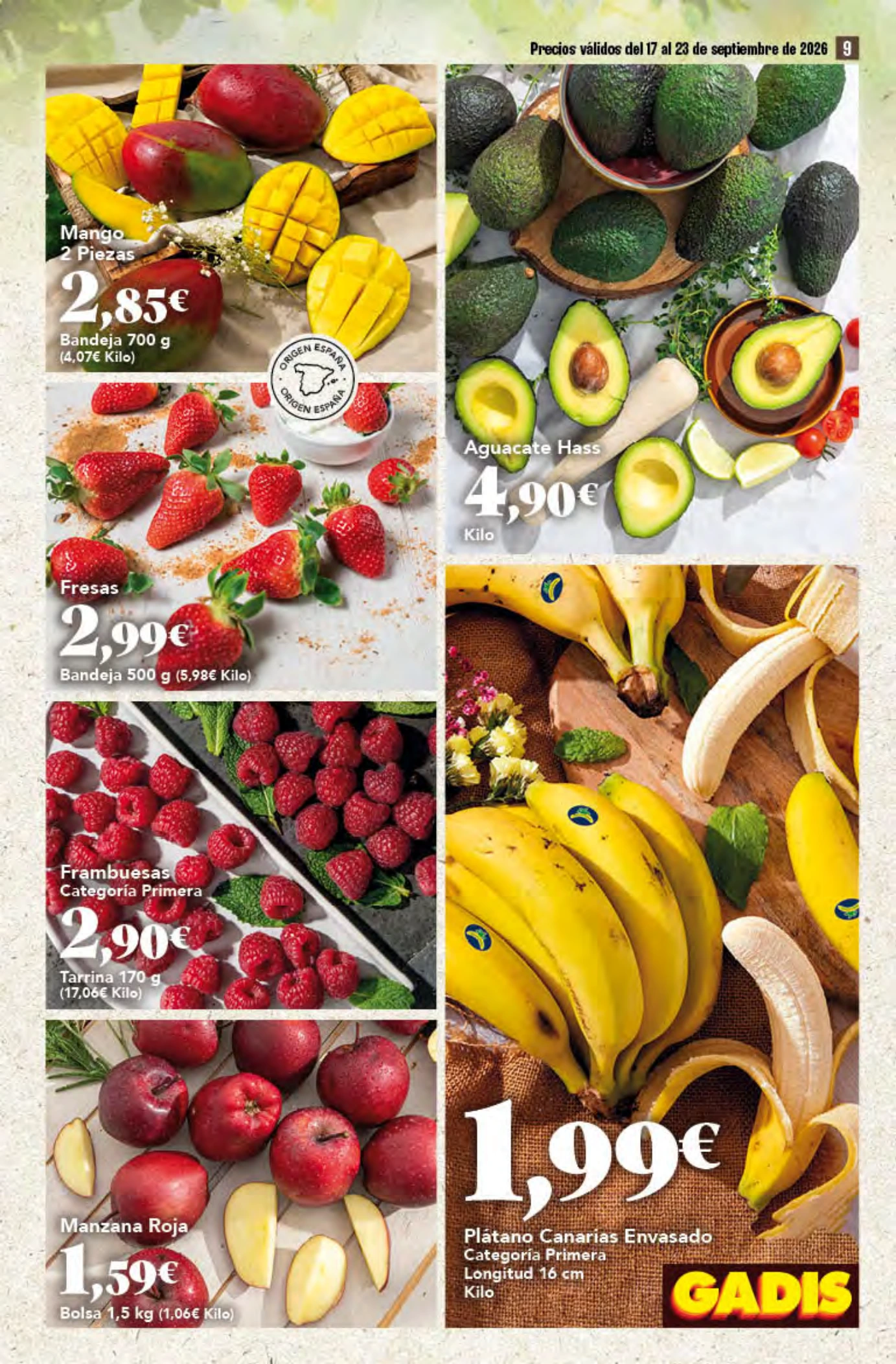 Flyer page 9