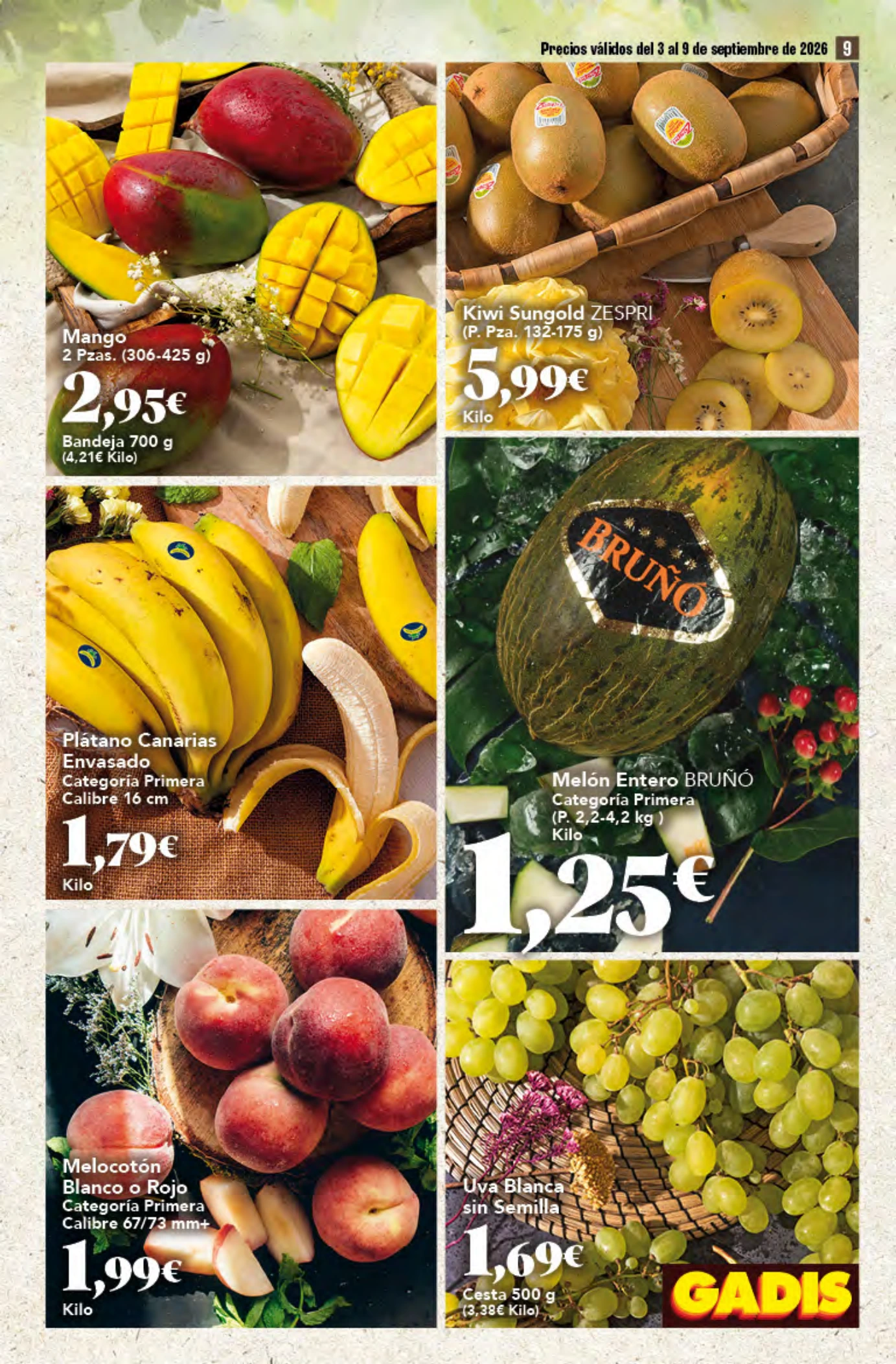 Flyer page 9
