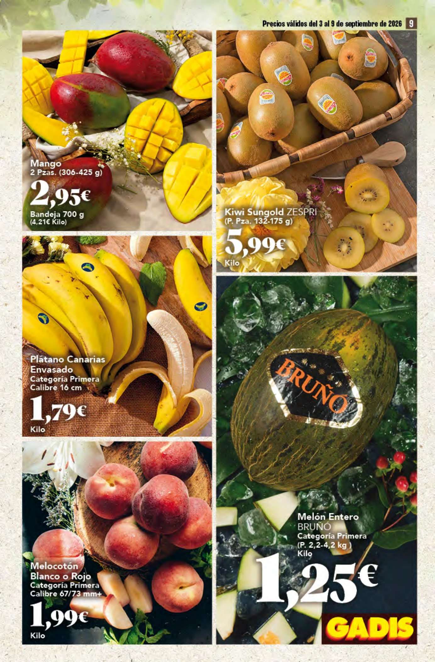 Flyer page 9