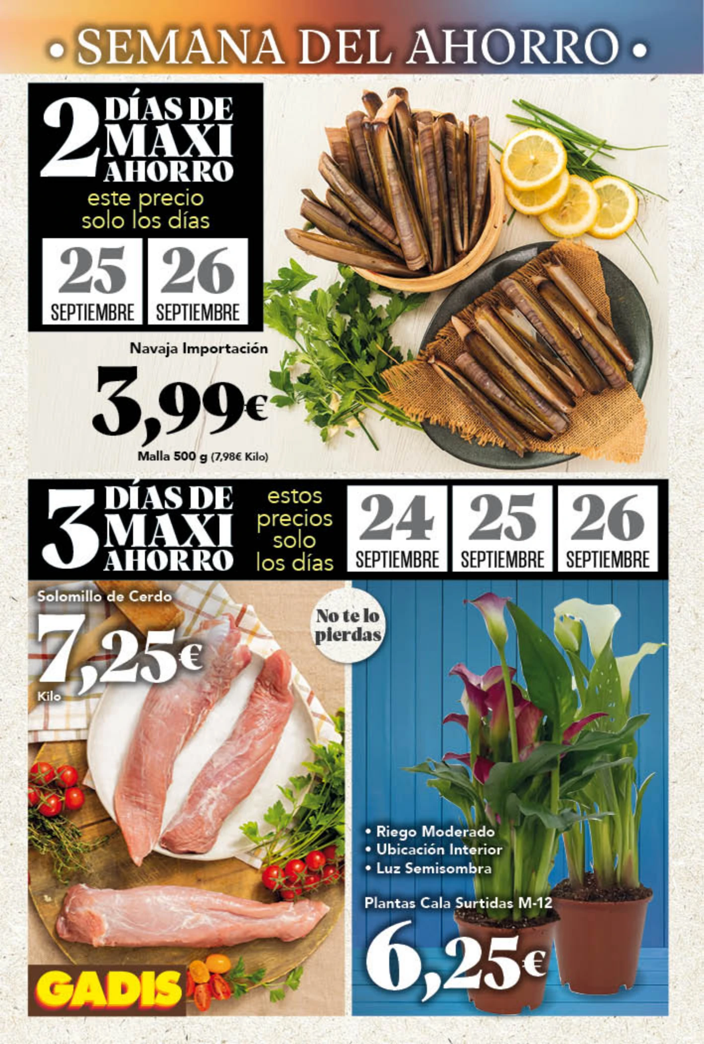 Flyer page 2