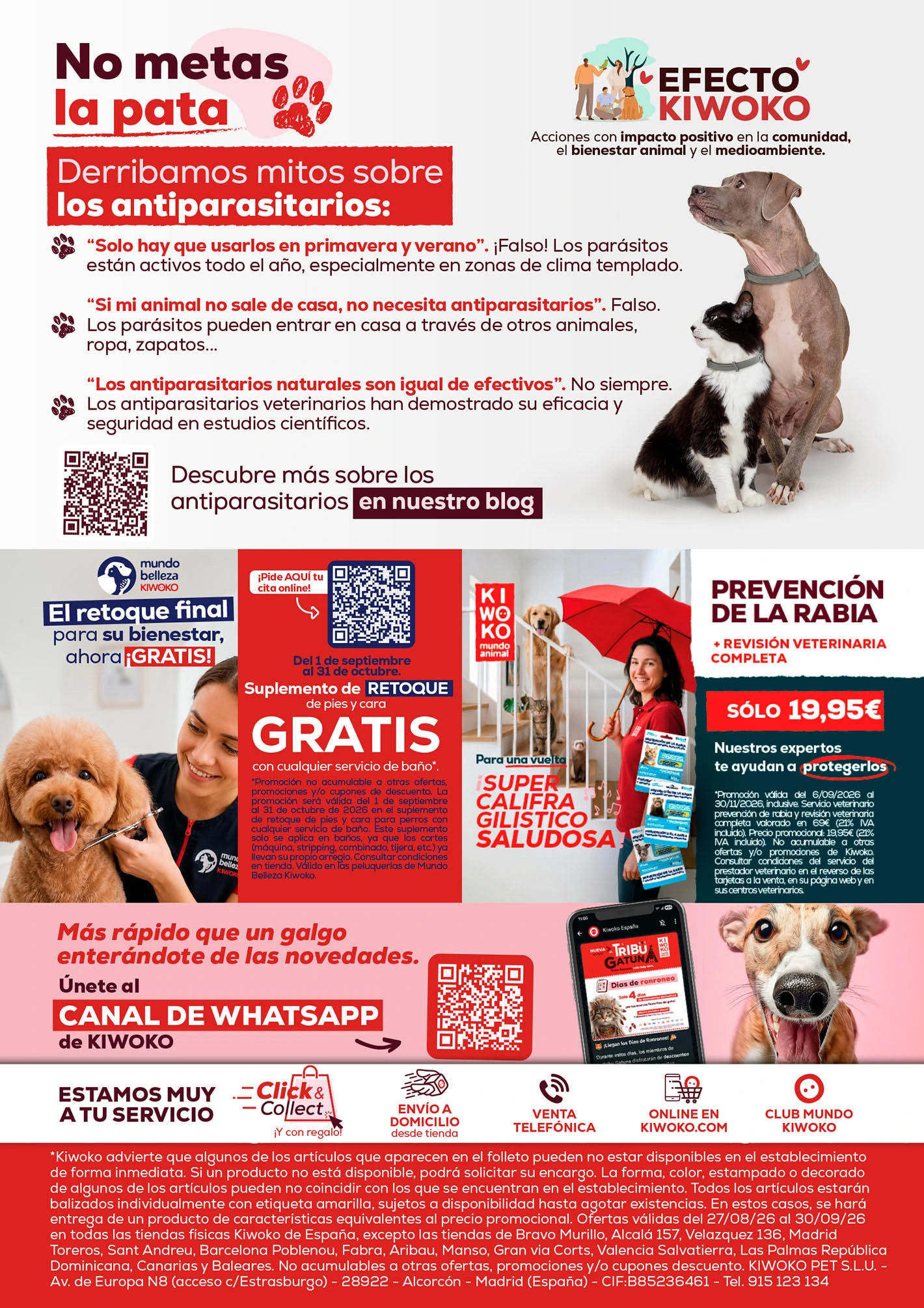 Flyer page 16
