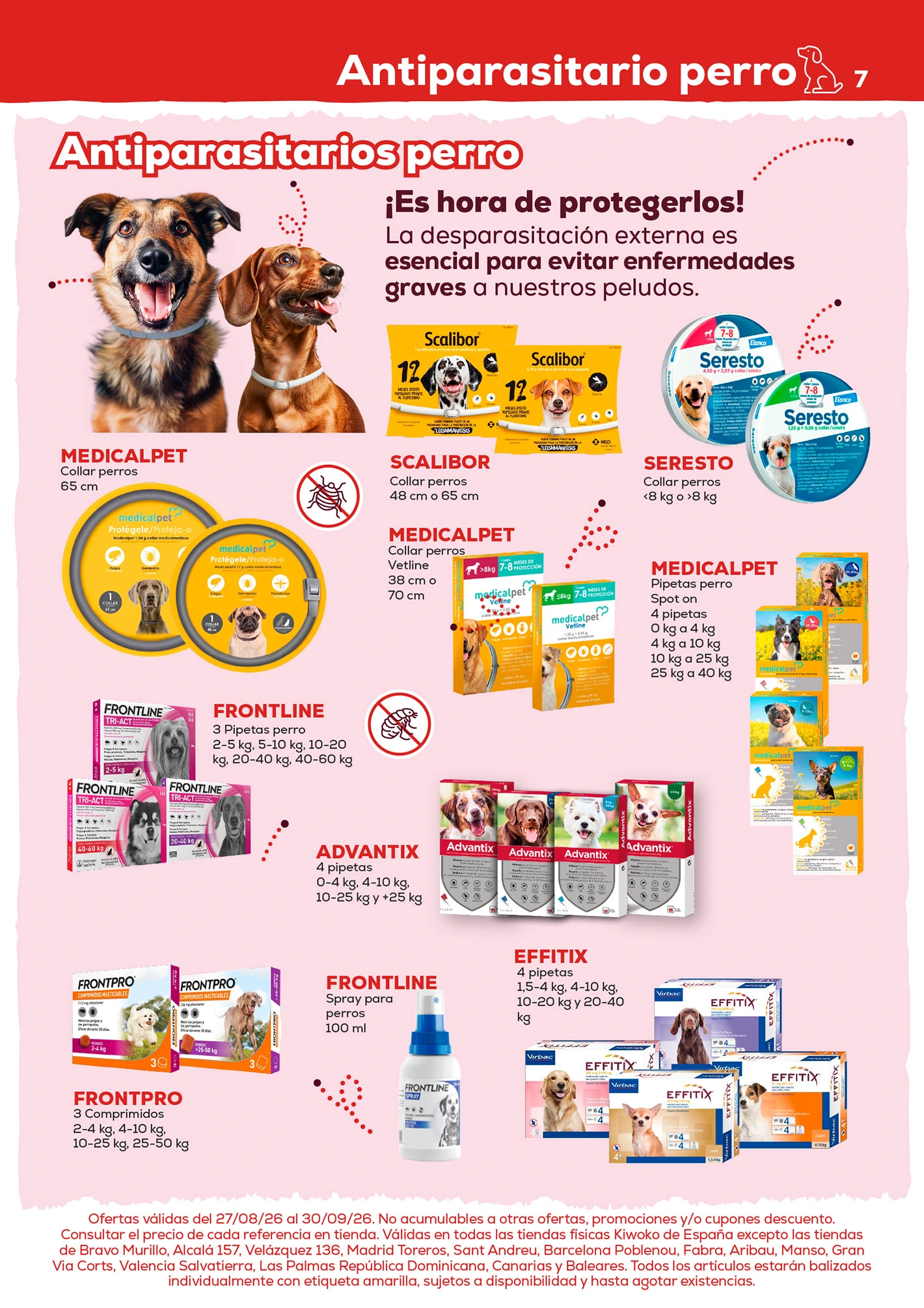 Flyer page 7