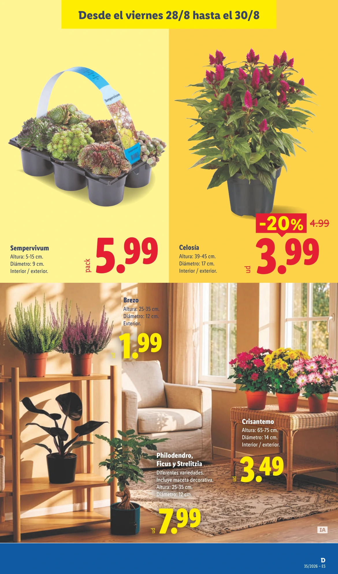 Flyer page 49