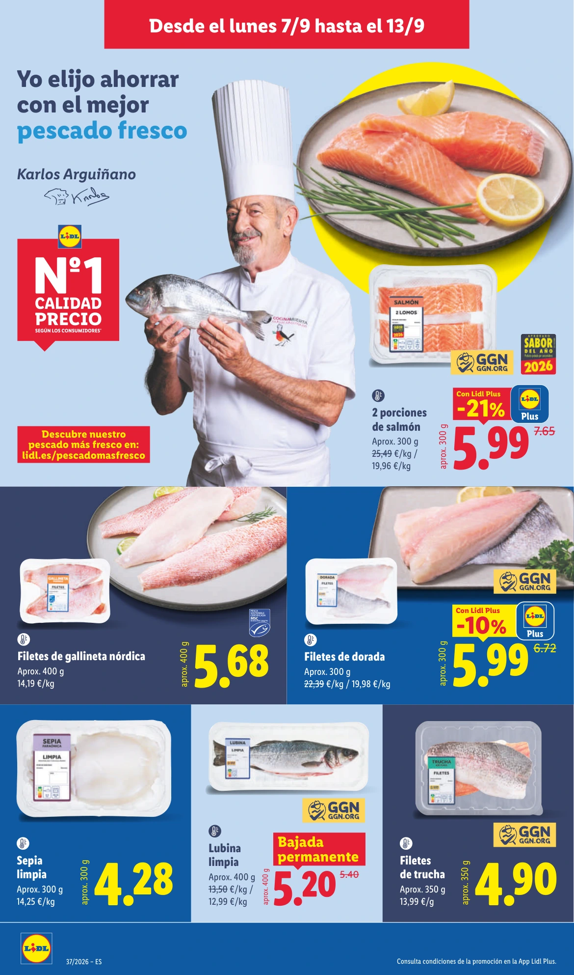 Flyer page 10