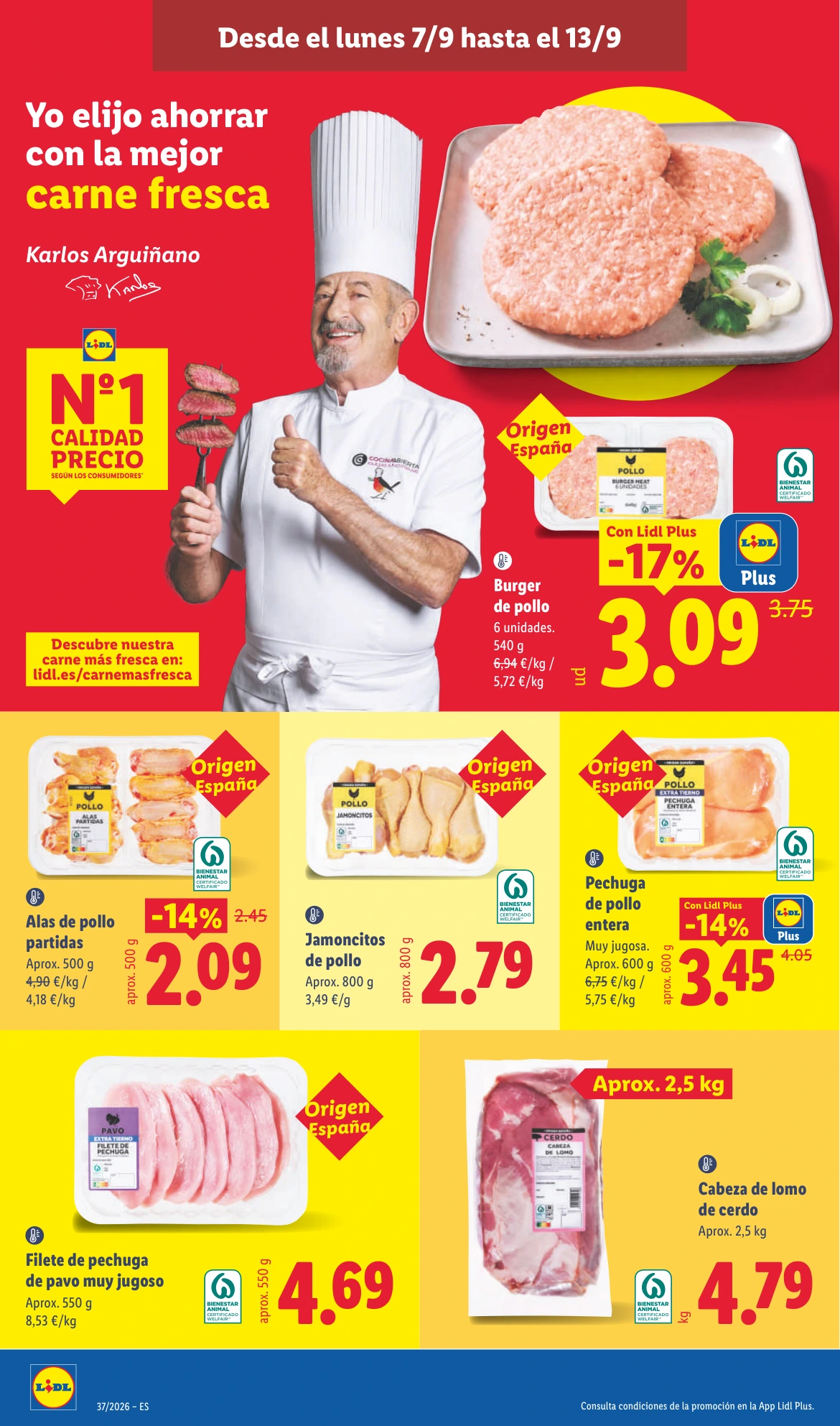 Flyer page 12