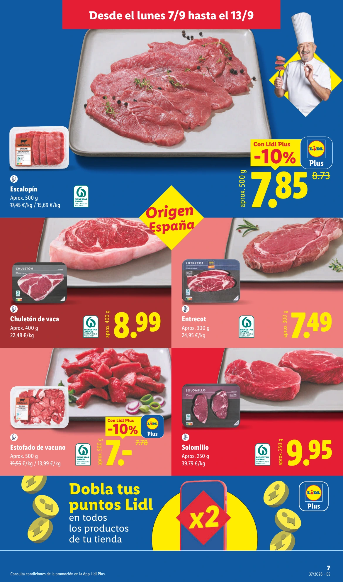 Flyer page 13