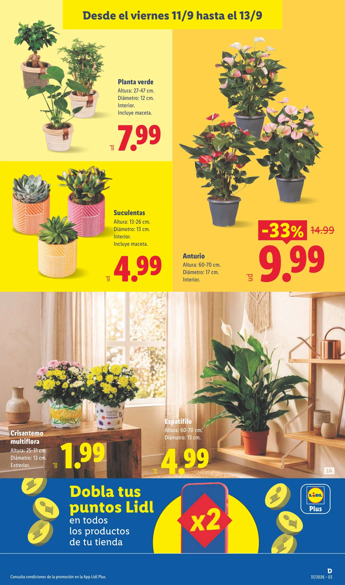 Flyer page 51