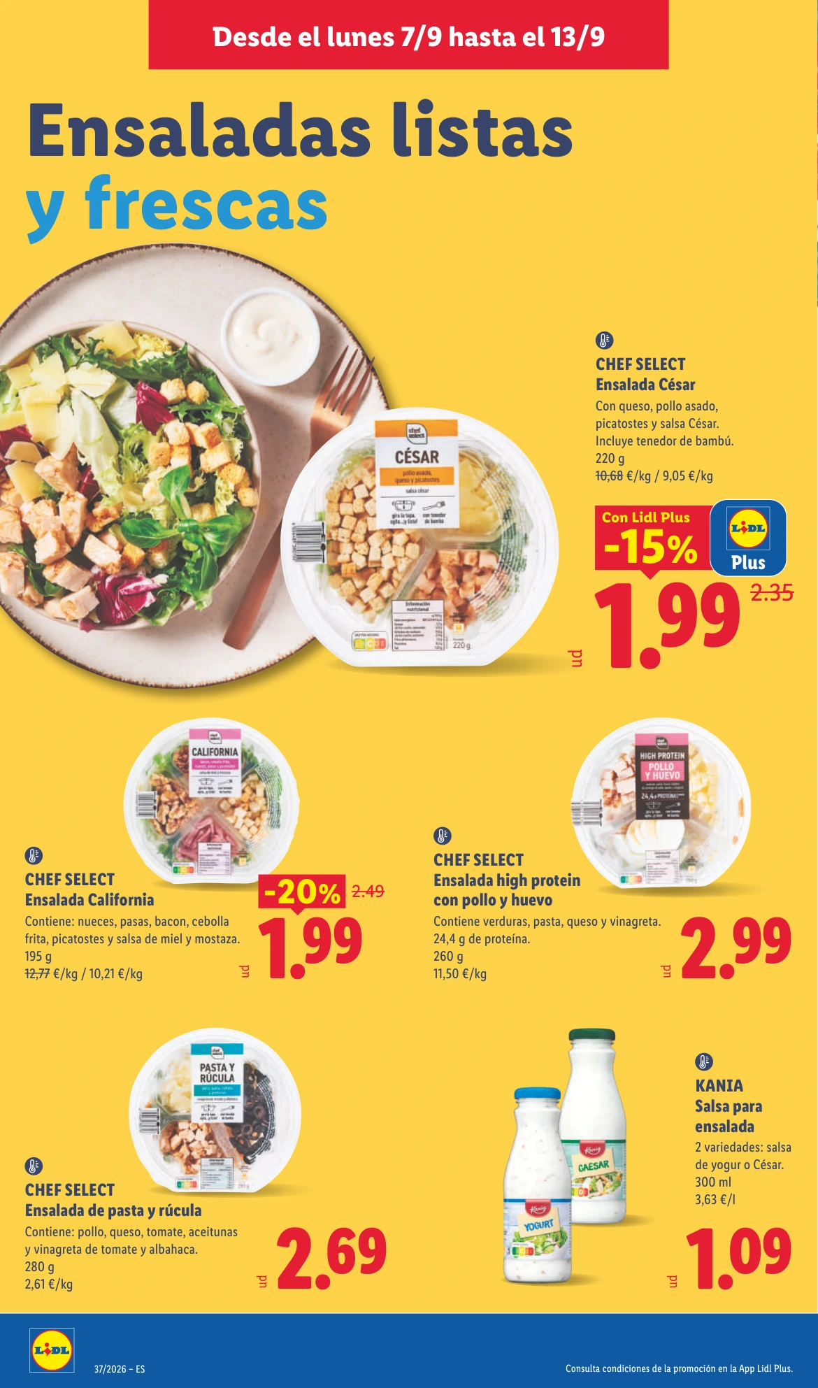 Flyer page 8