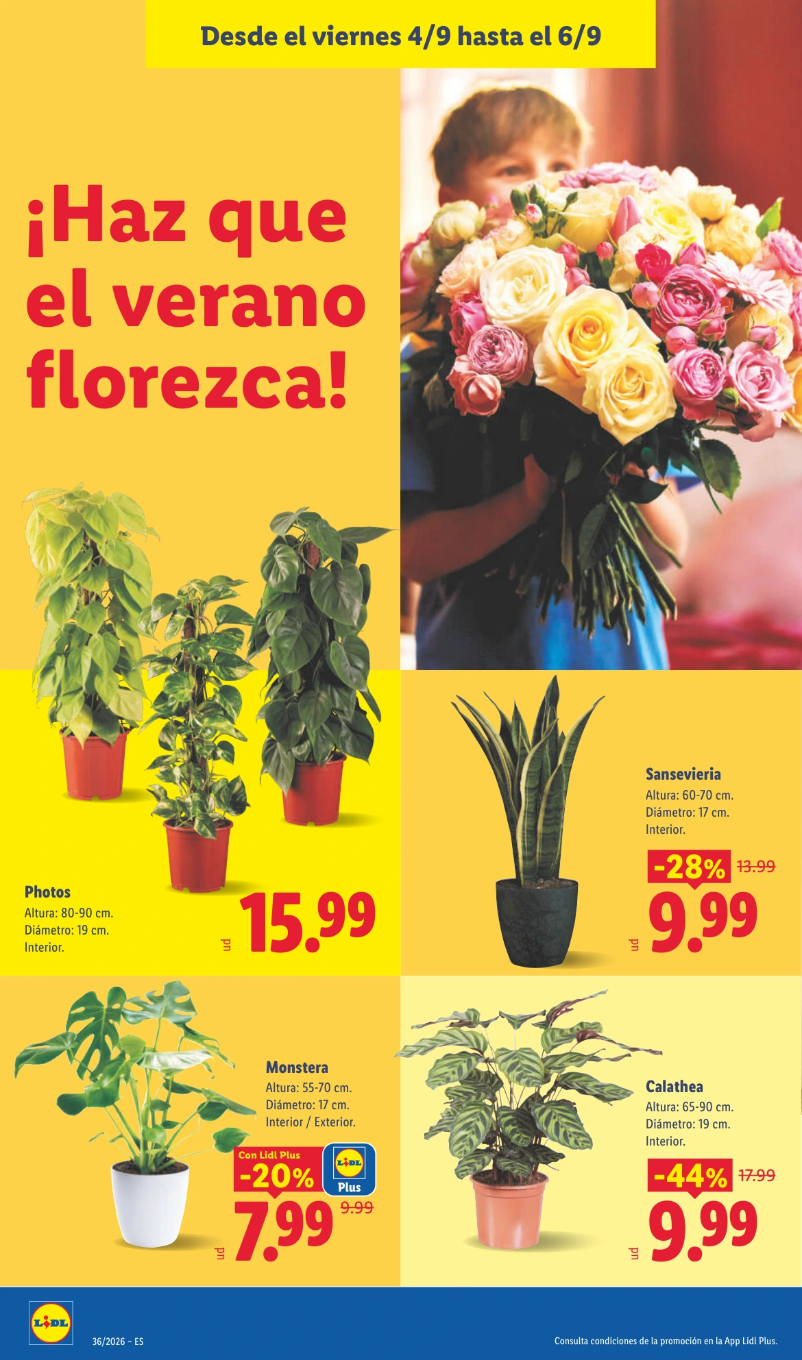 Flyer page 36