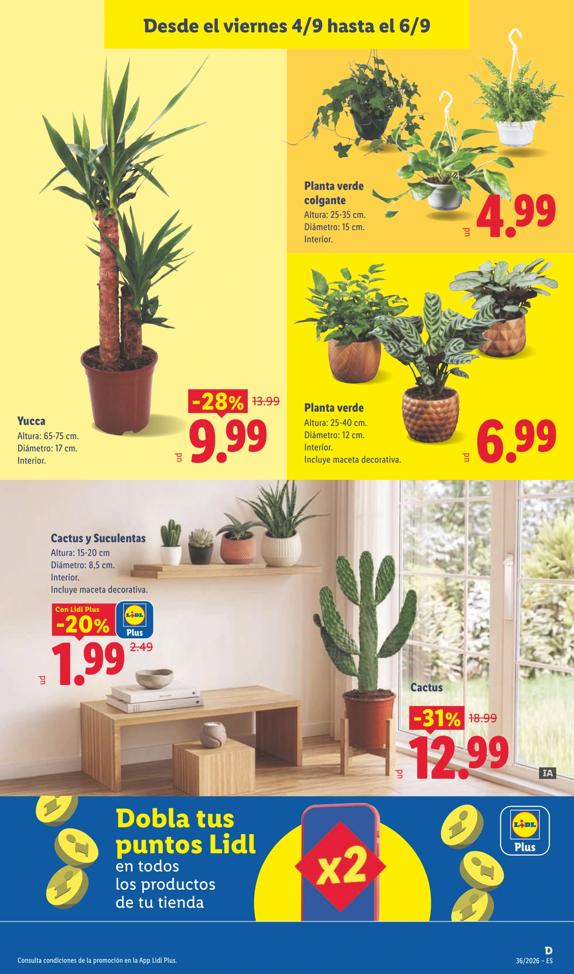Flyer page 37
